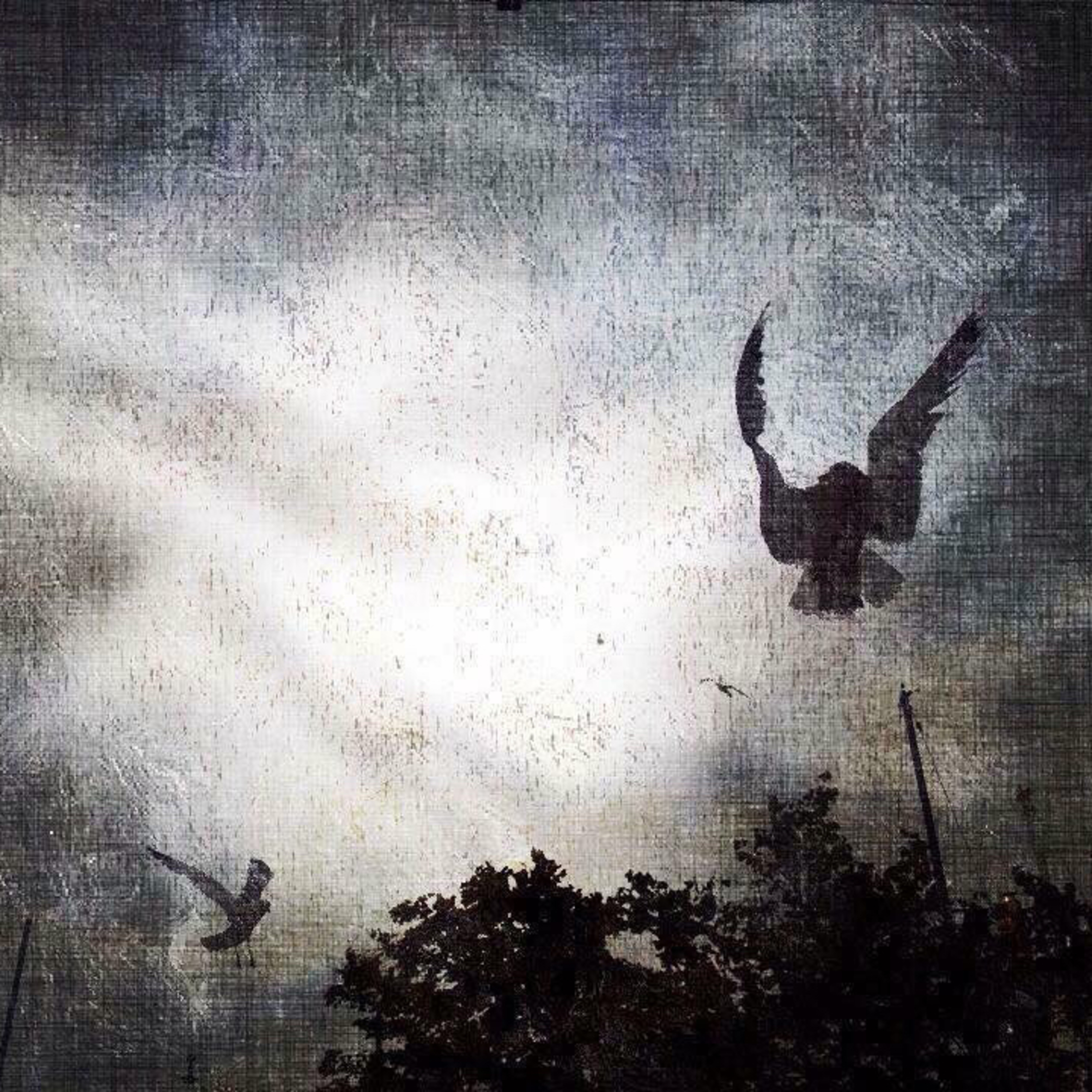 Helsinki Lives episode artwork