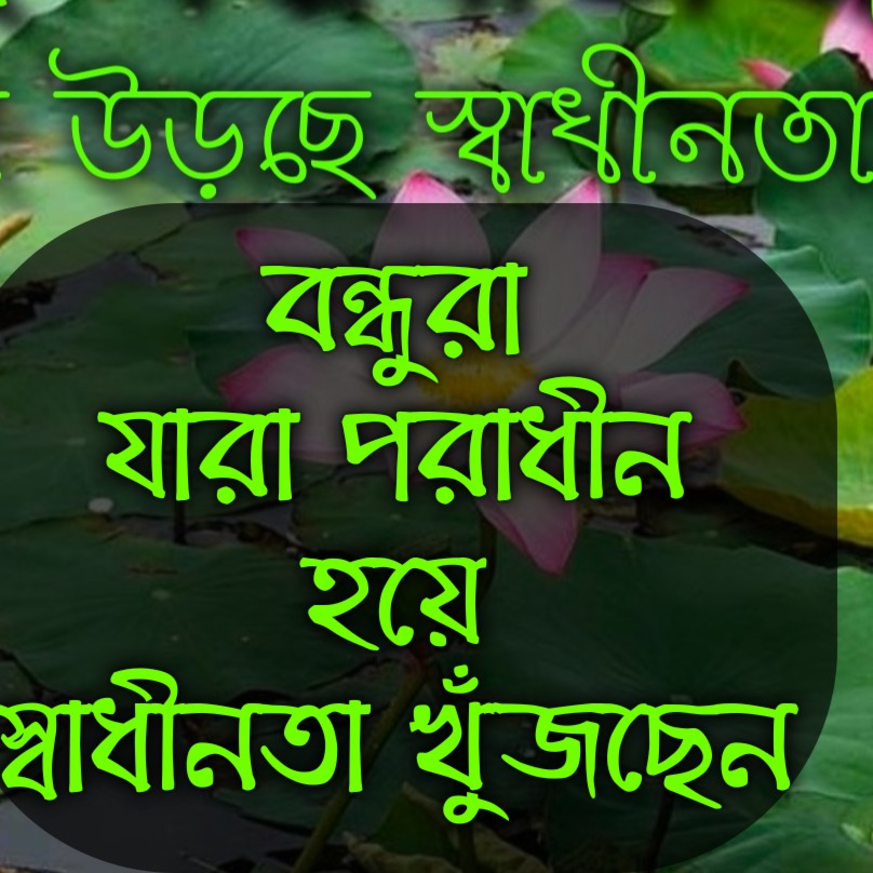RECITATION OF DEBASHIS MAJUMDAR
