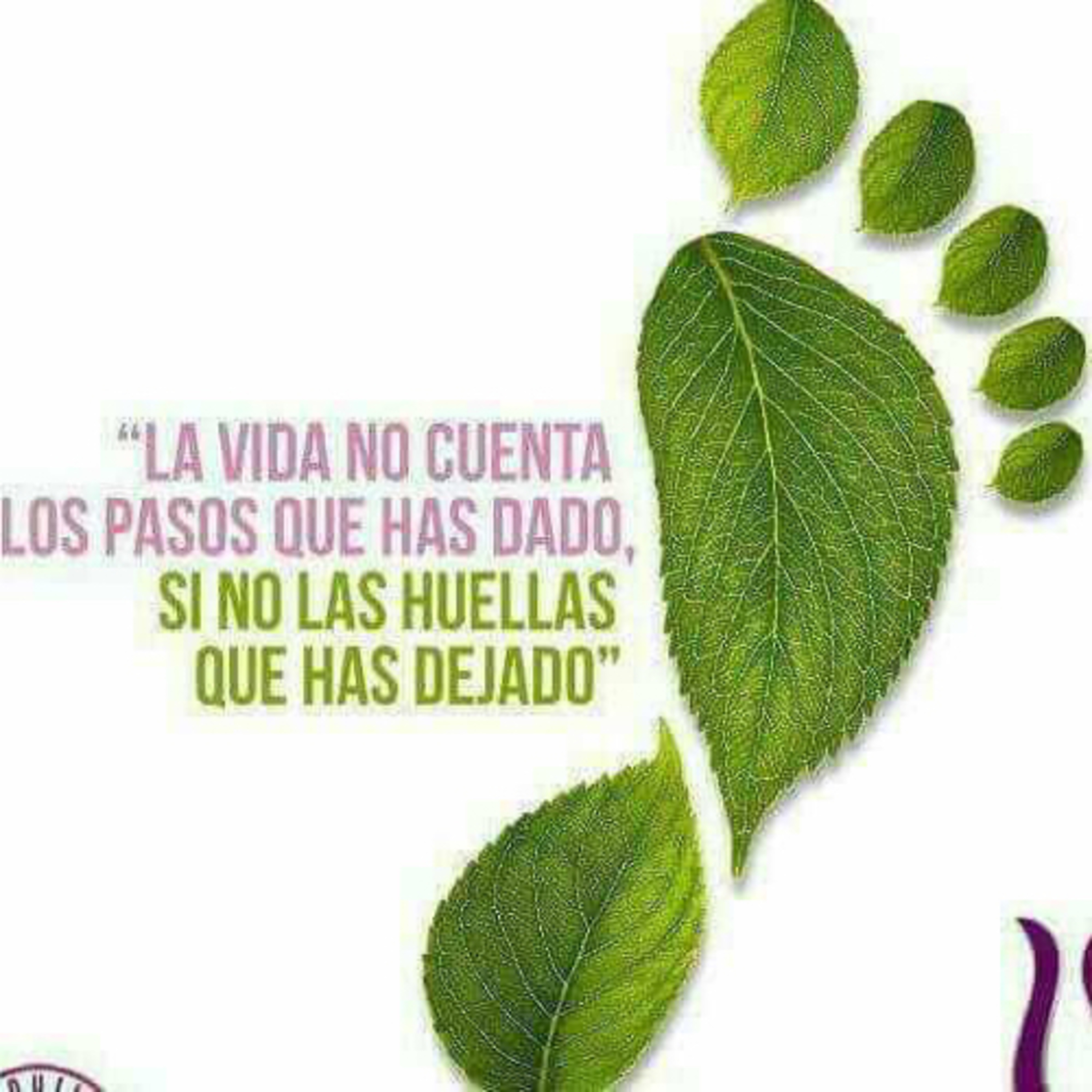 HUELLAS ECORICARDINAS: REINVENTANDO EL PRAE