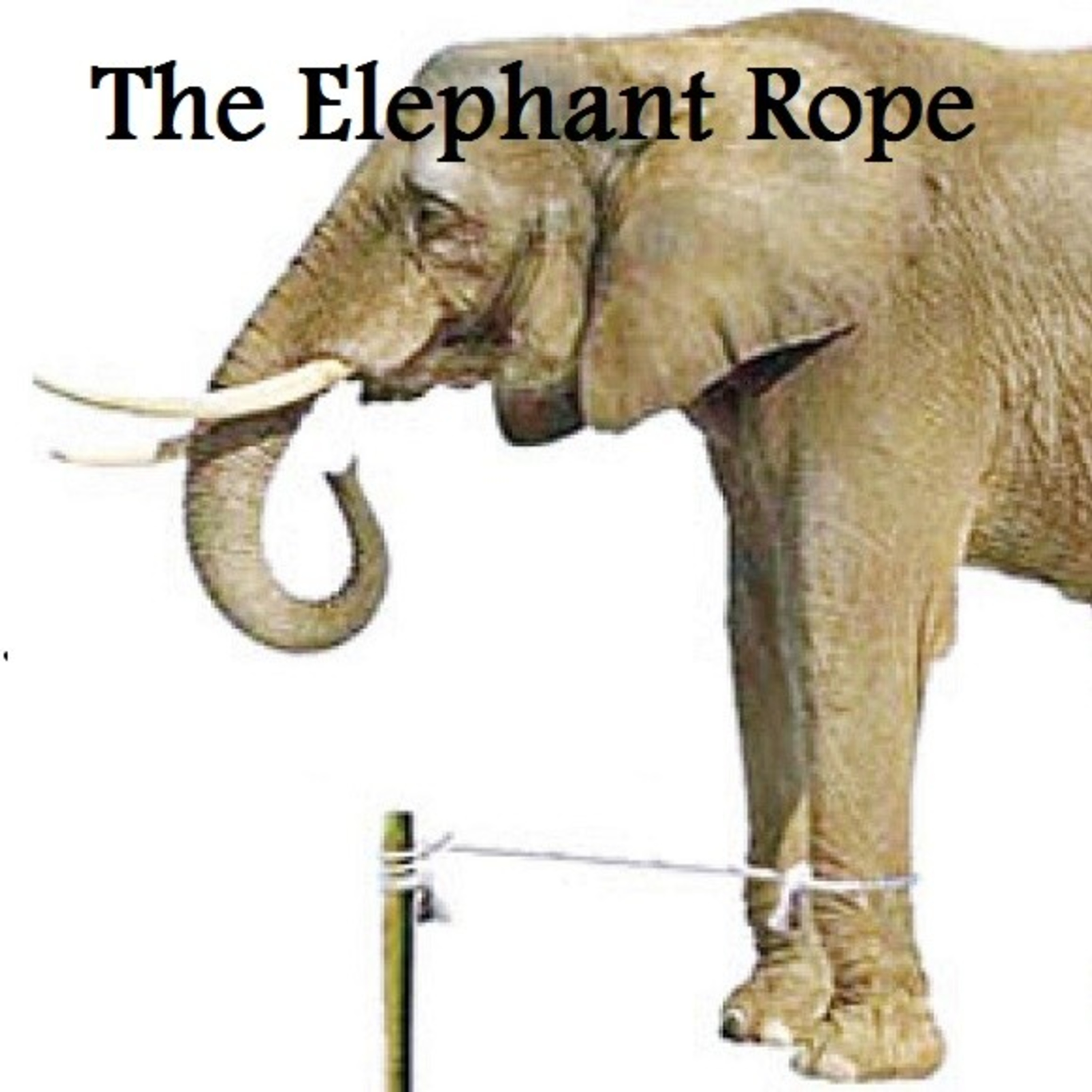 The Elephant Rope