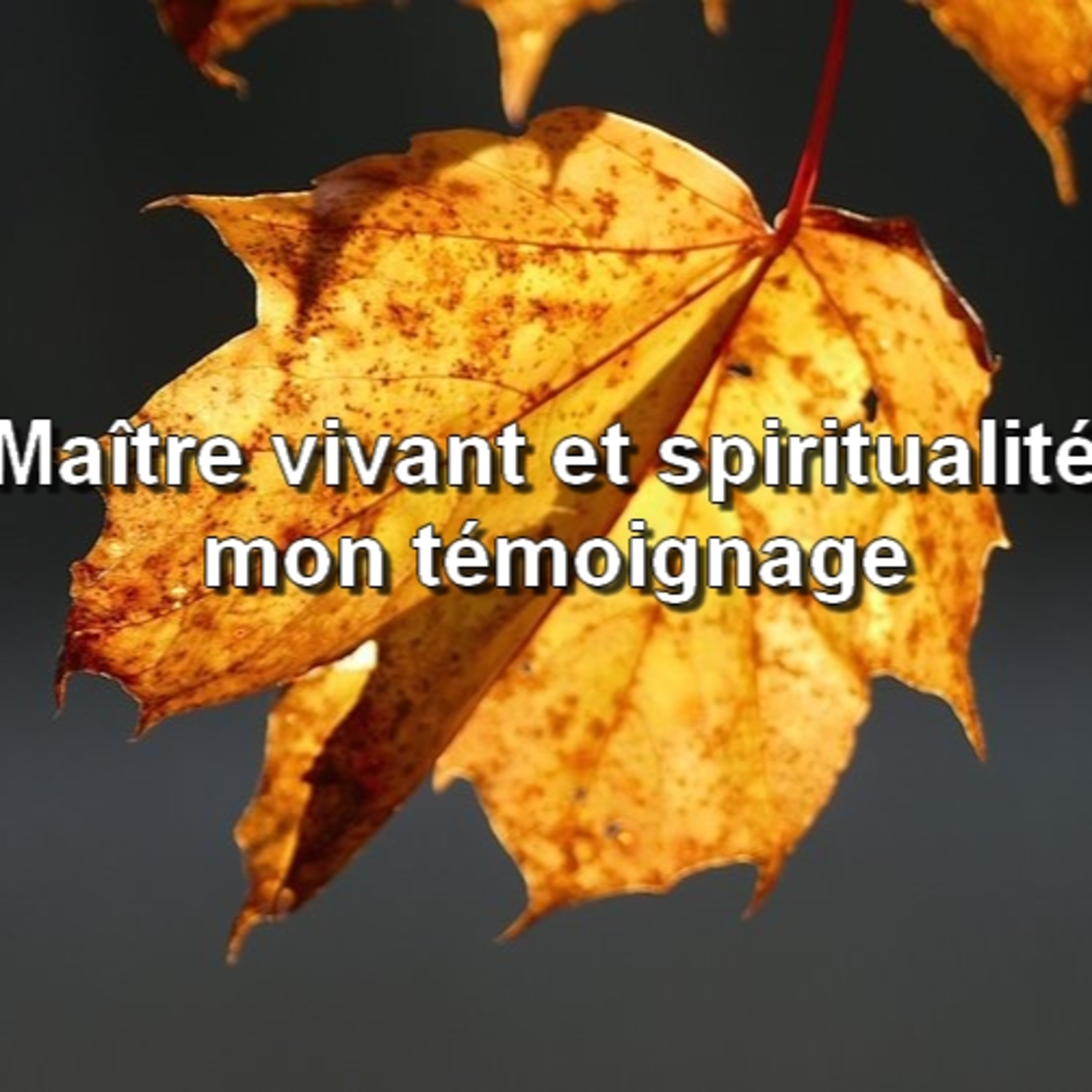 En Conscience
