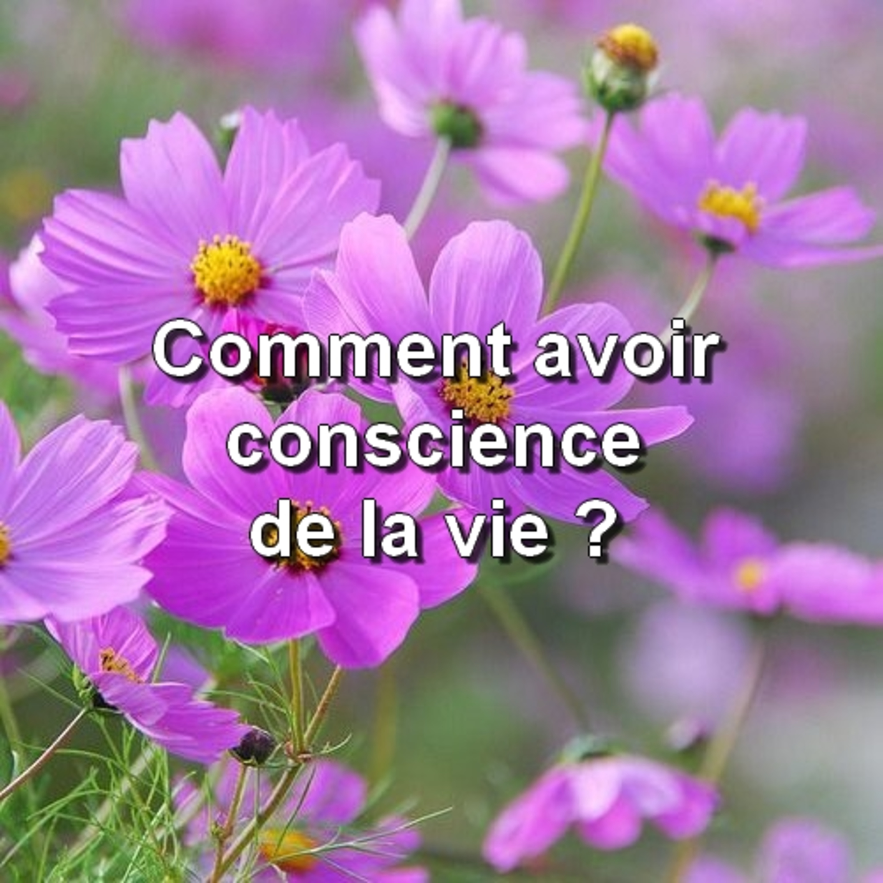 En Conscience