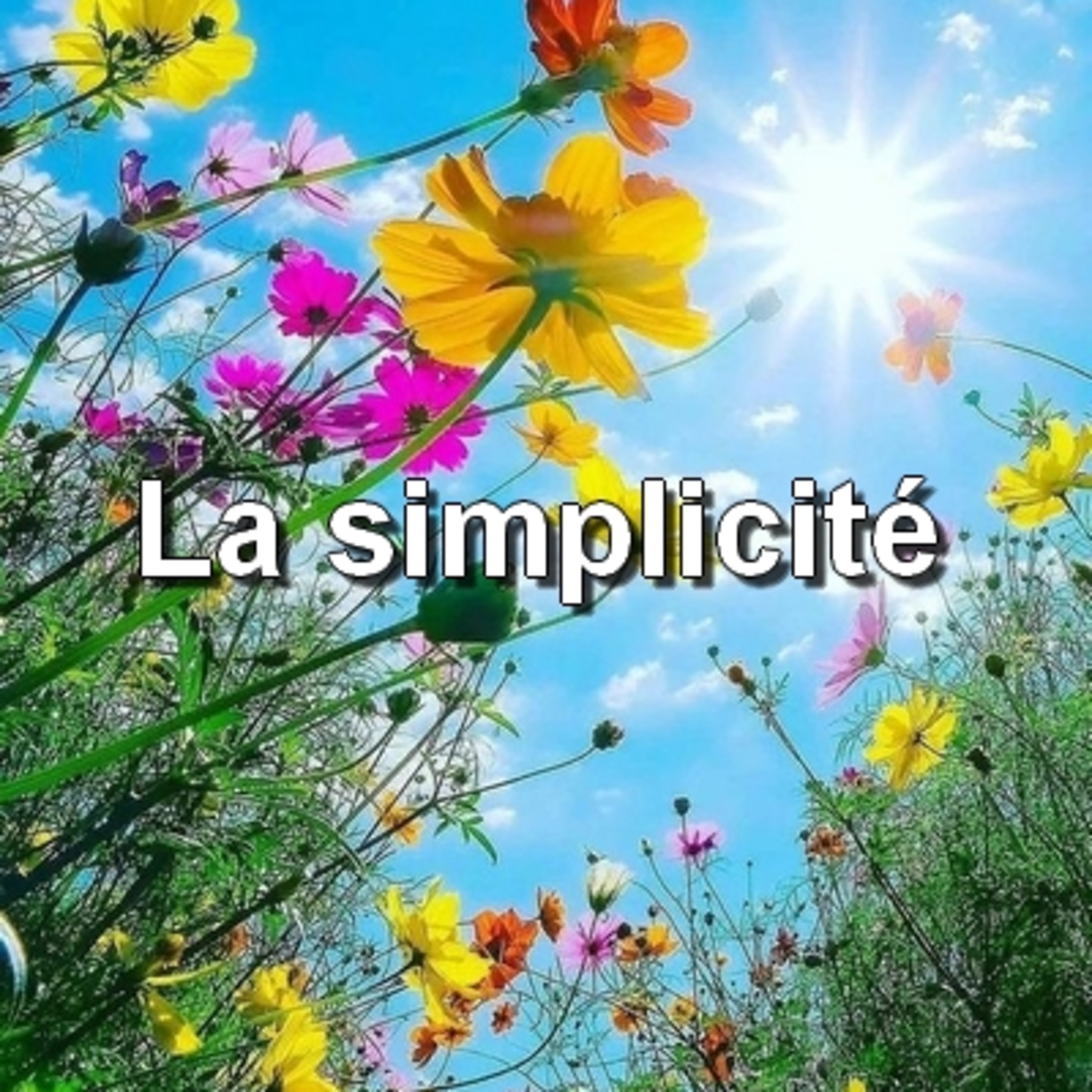 En Conscience
