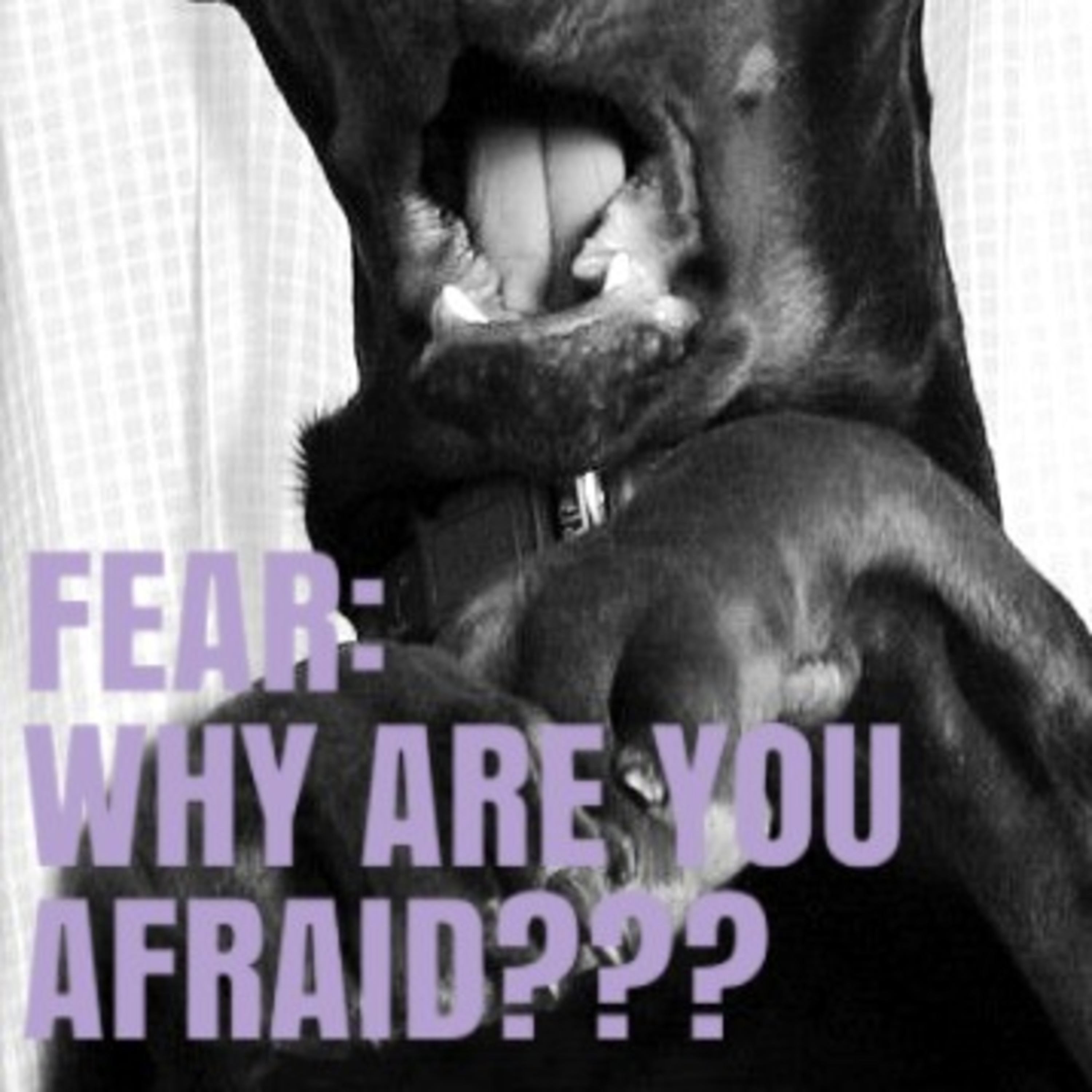 FEAR: WHY ARE YOU AFRAID?