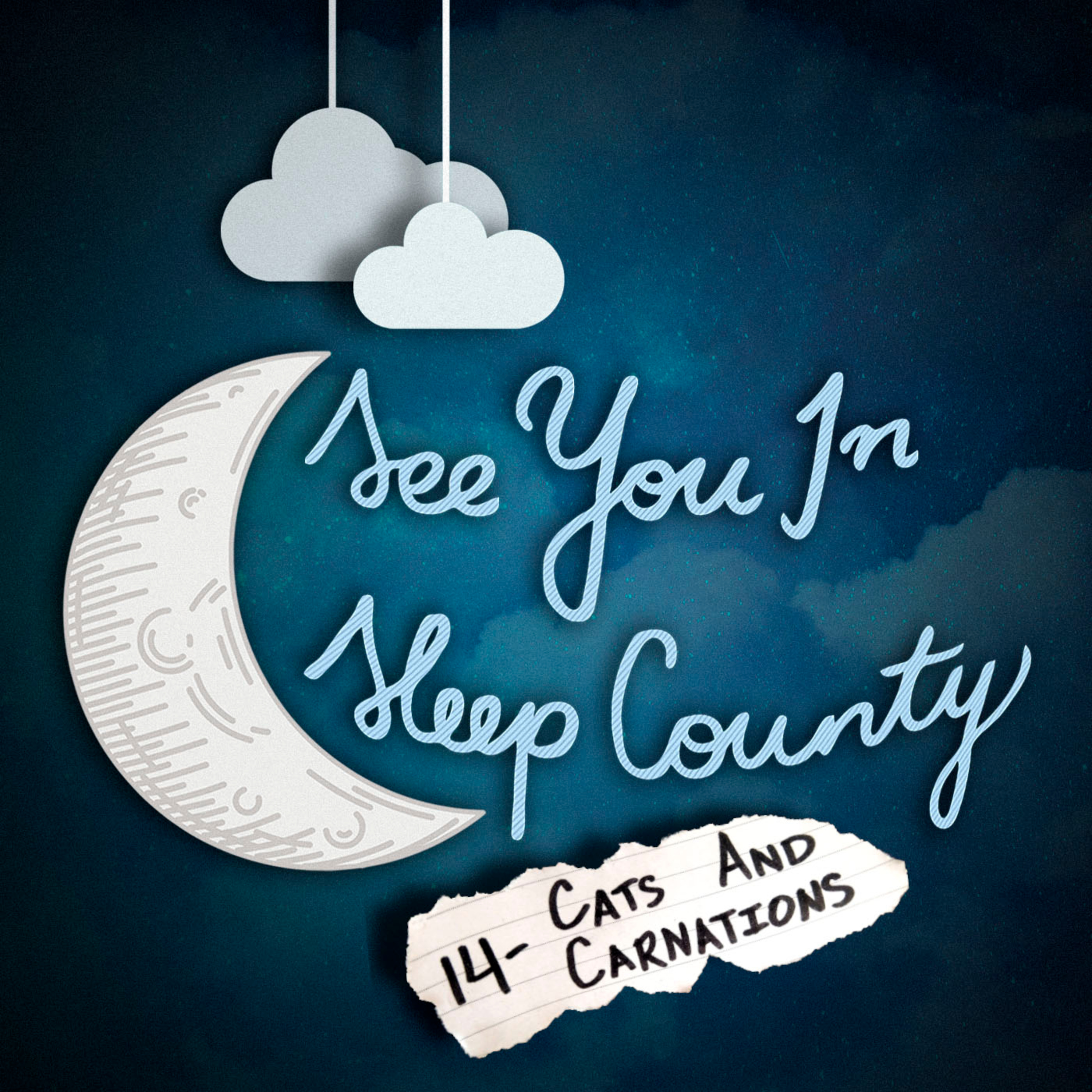 See You In Sleep County