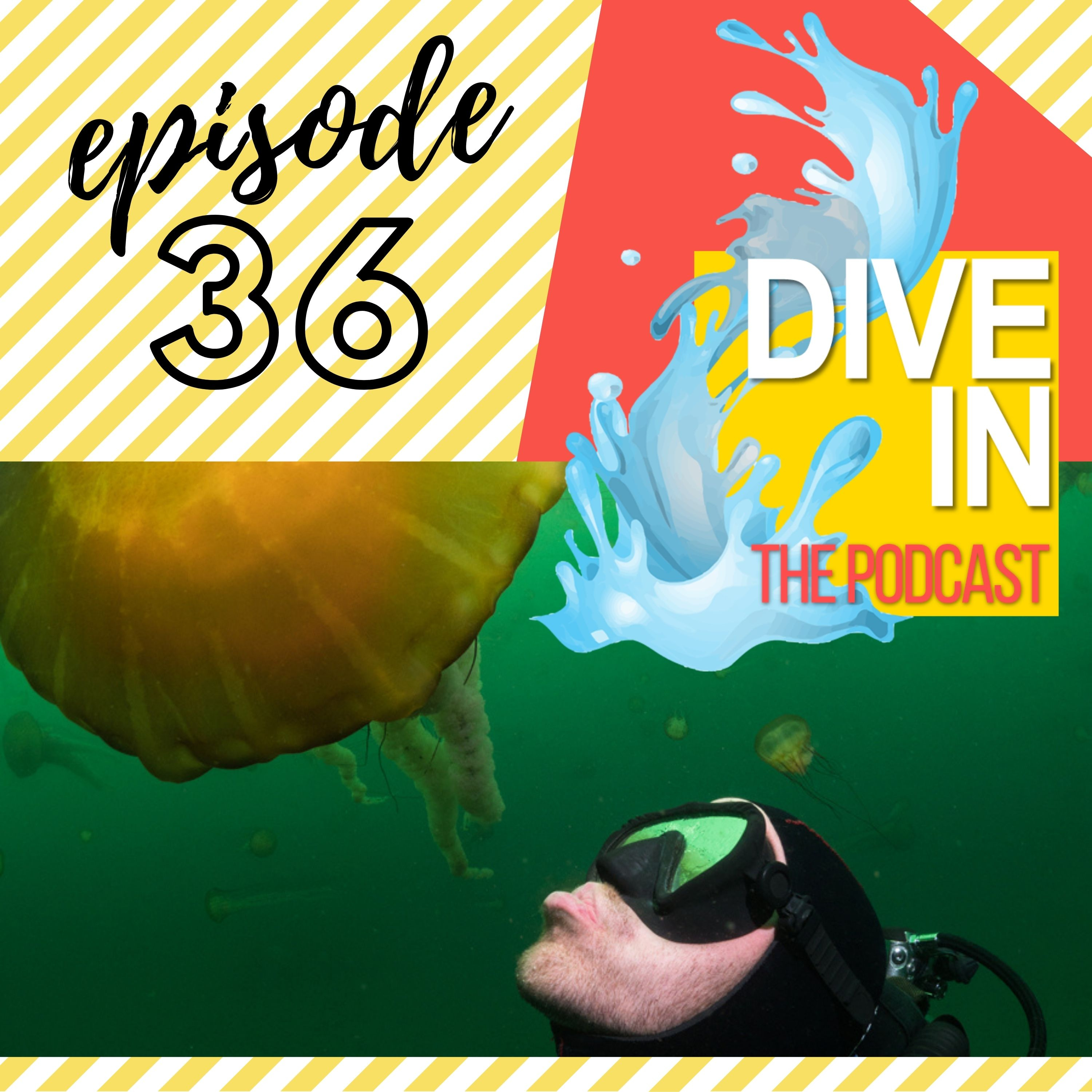 Dive In: The Podcast