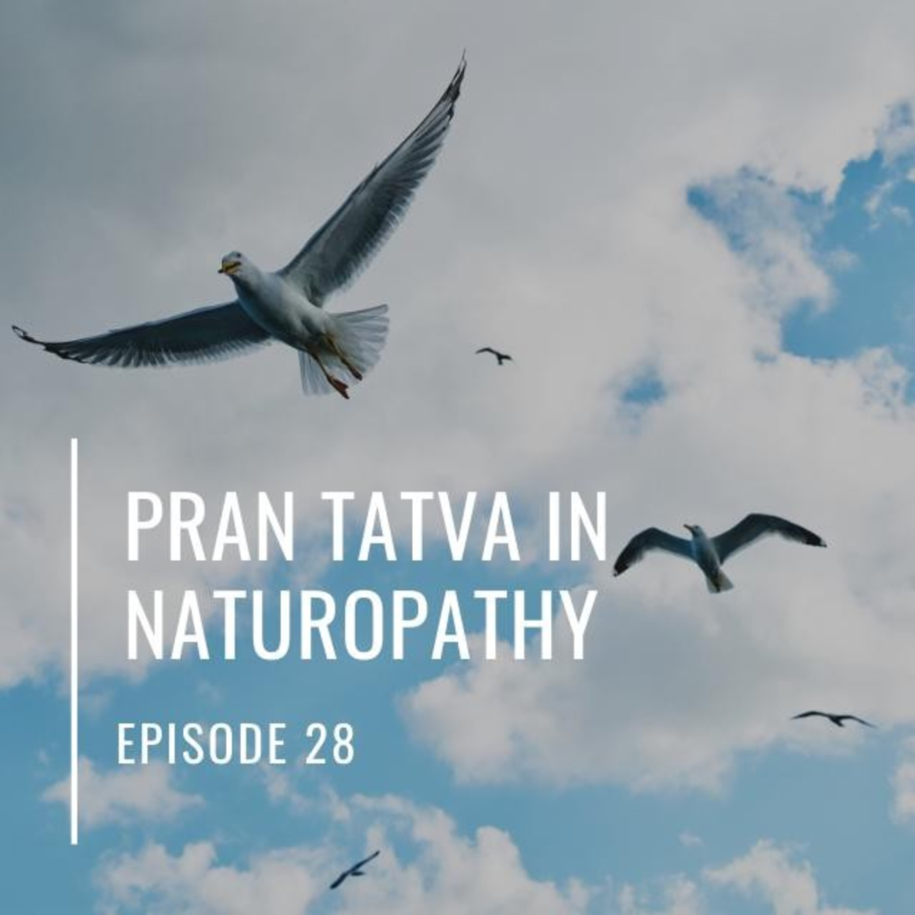 Ayurveda