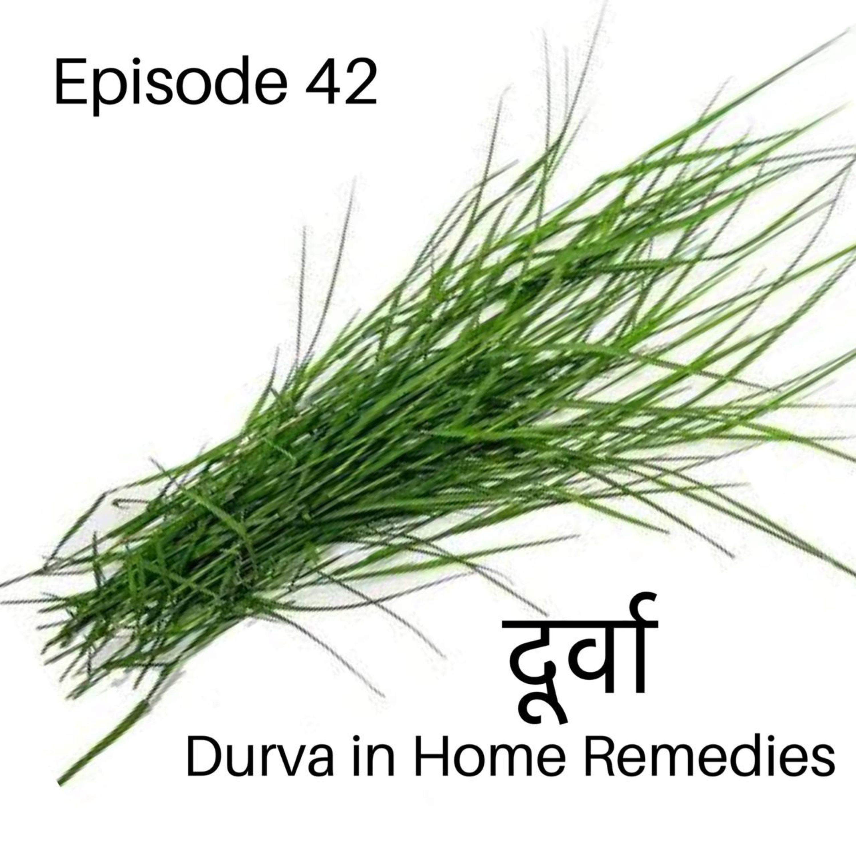 Ayurveda