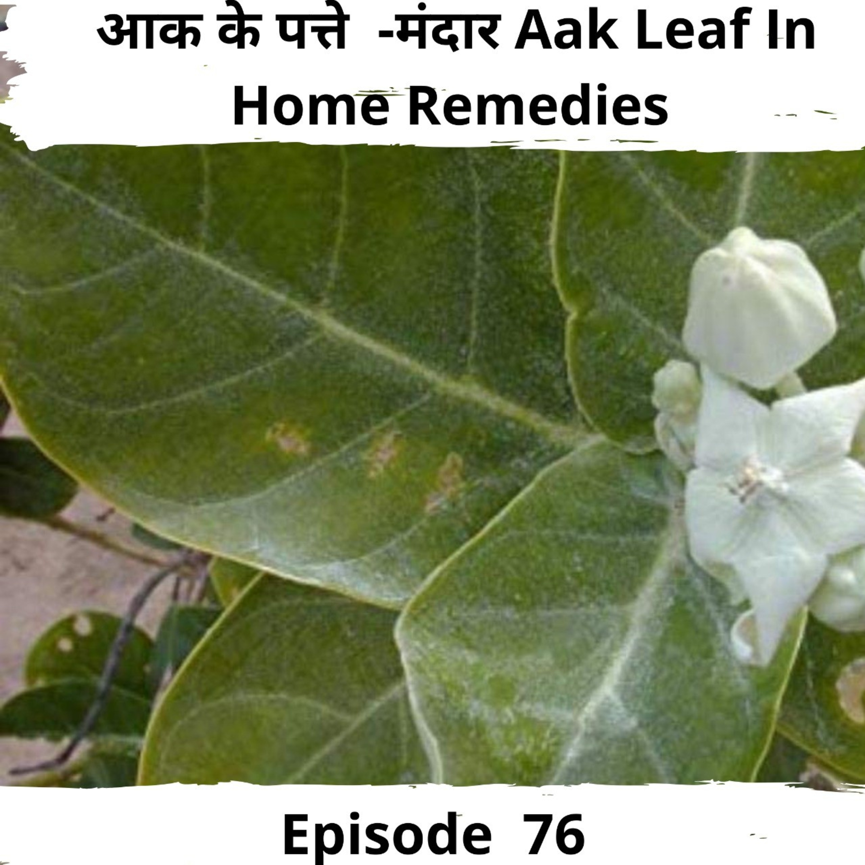 Ayurveda