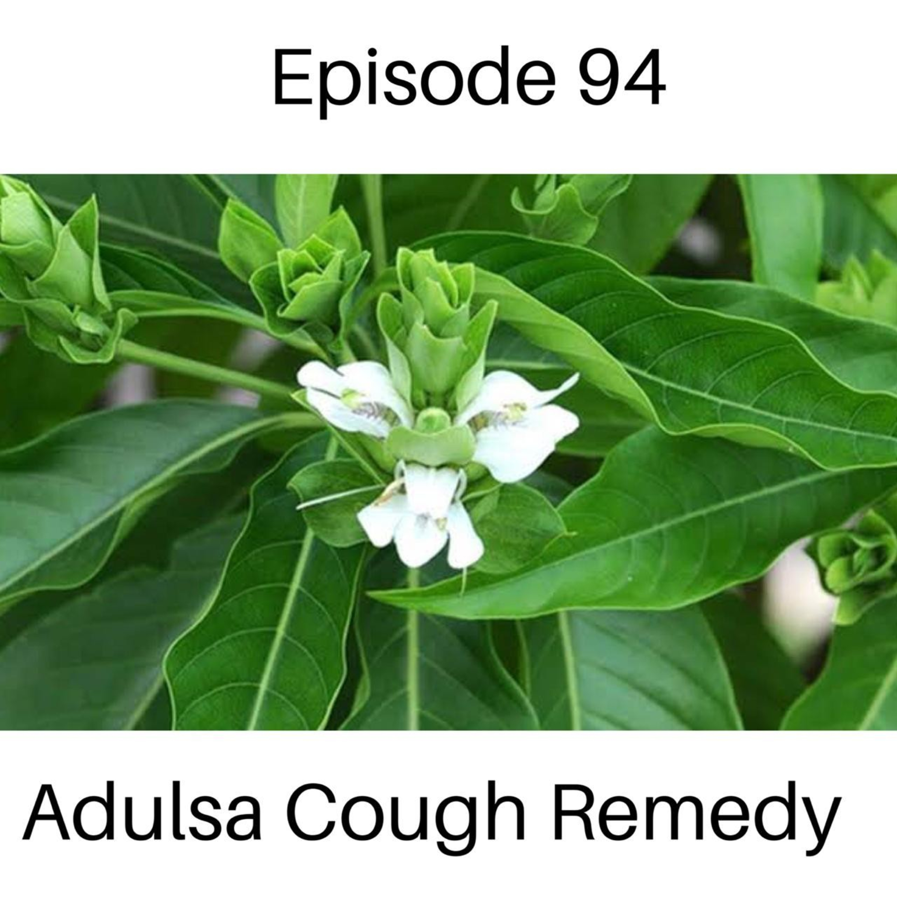 Ayurveda