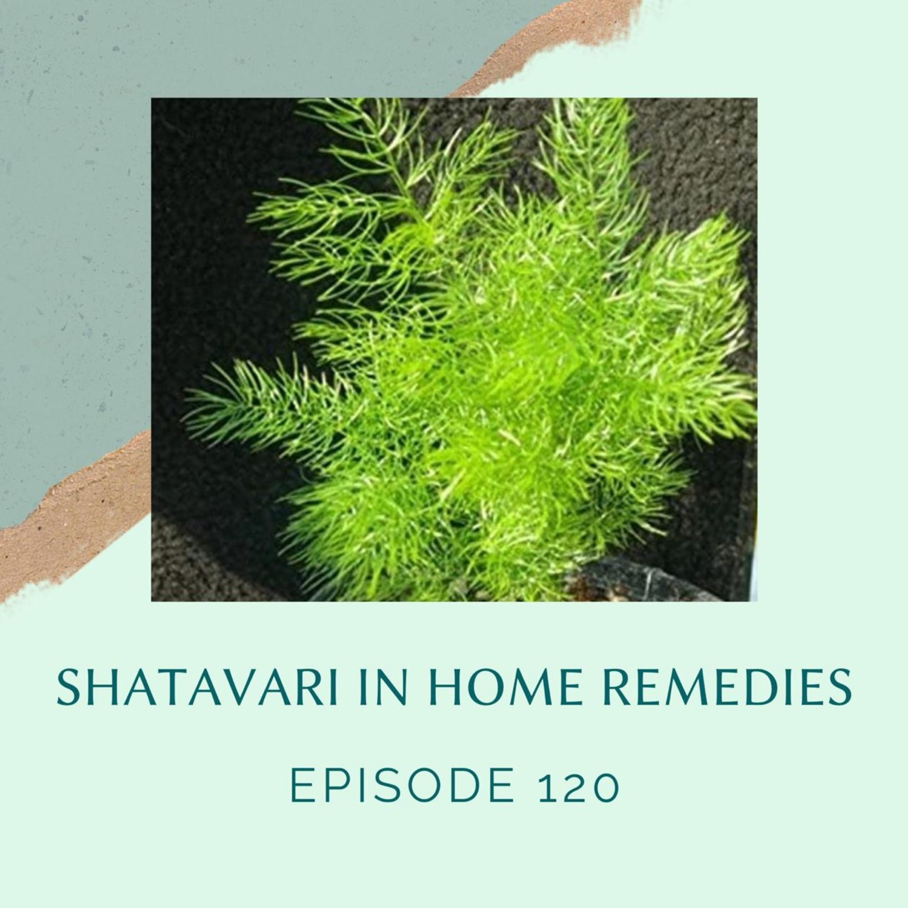 Ayurveda