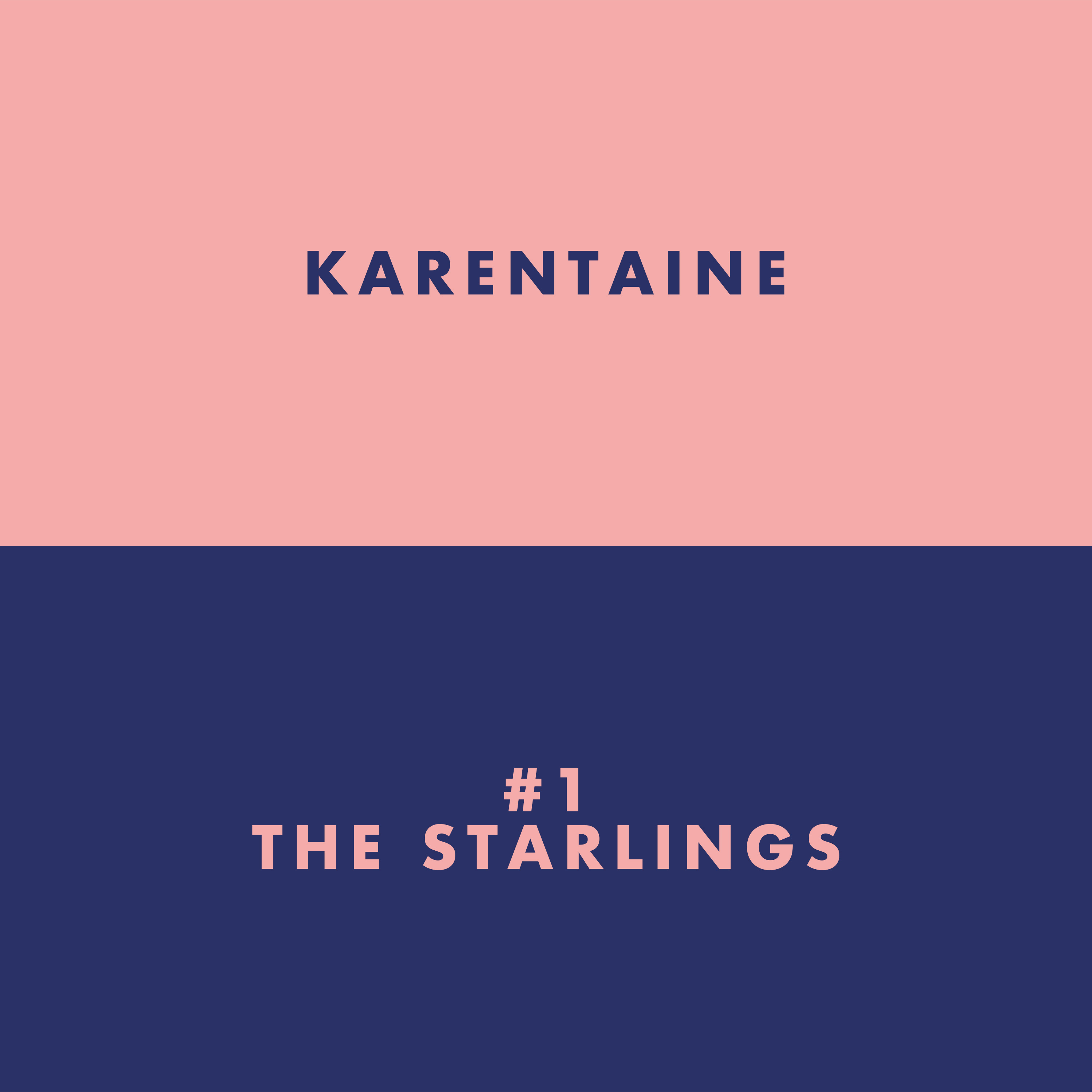 #1 - The Starlings