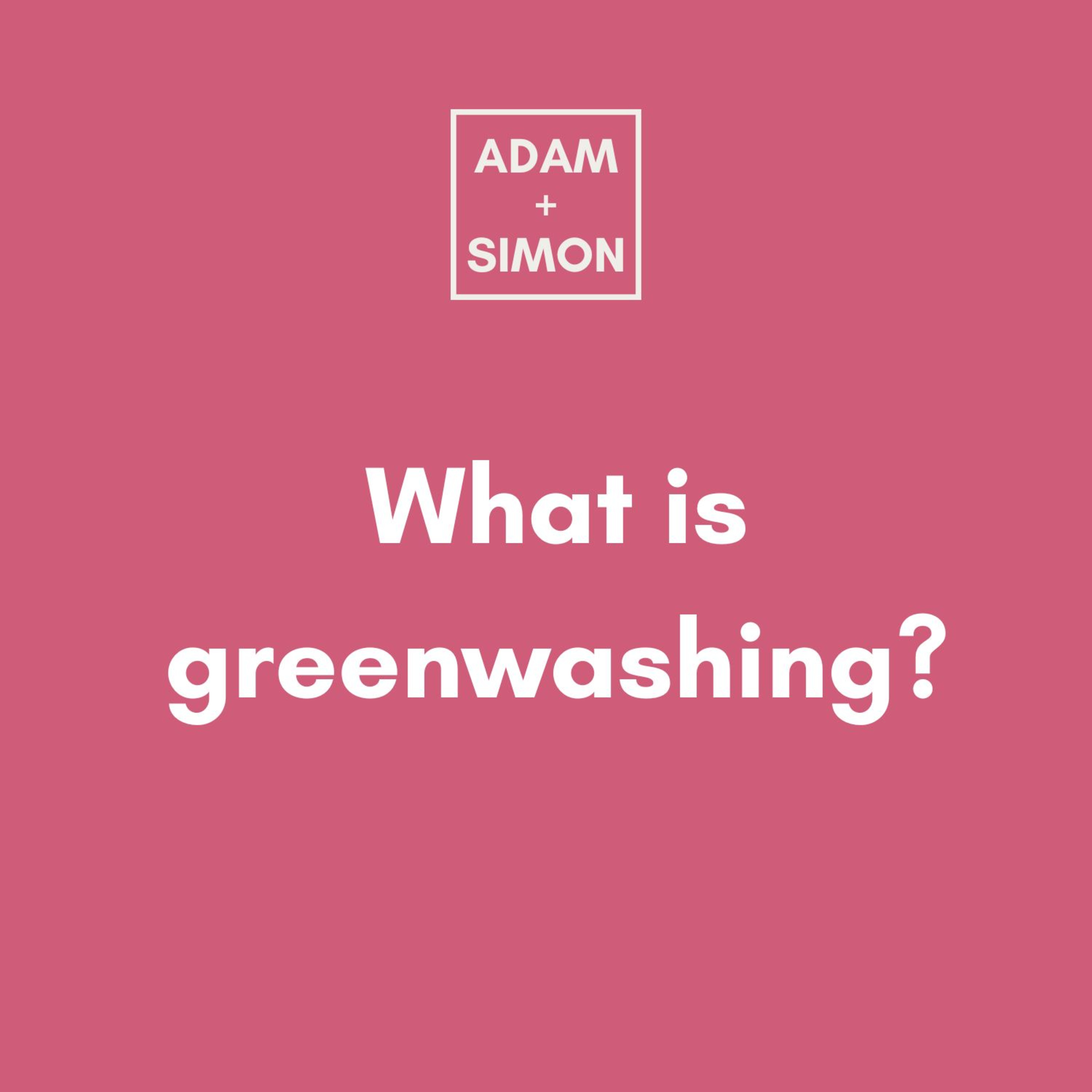 Adam and Simon Bullshit Busters