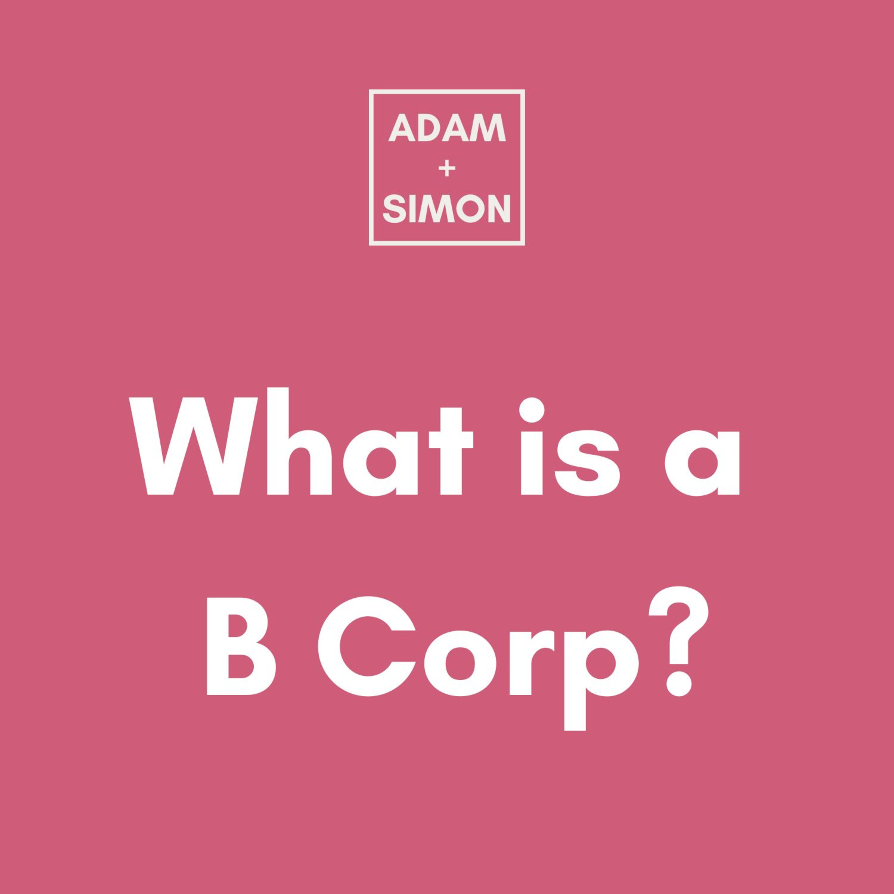 Adam and Simon Bullshit Busters