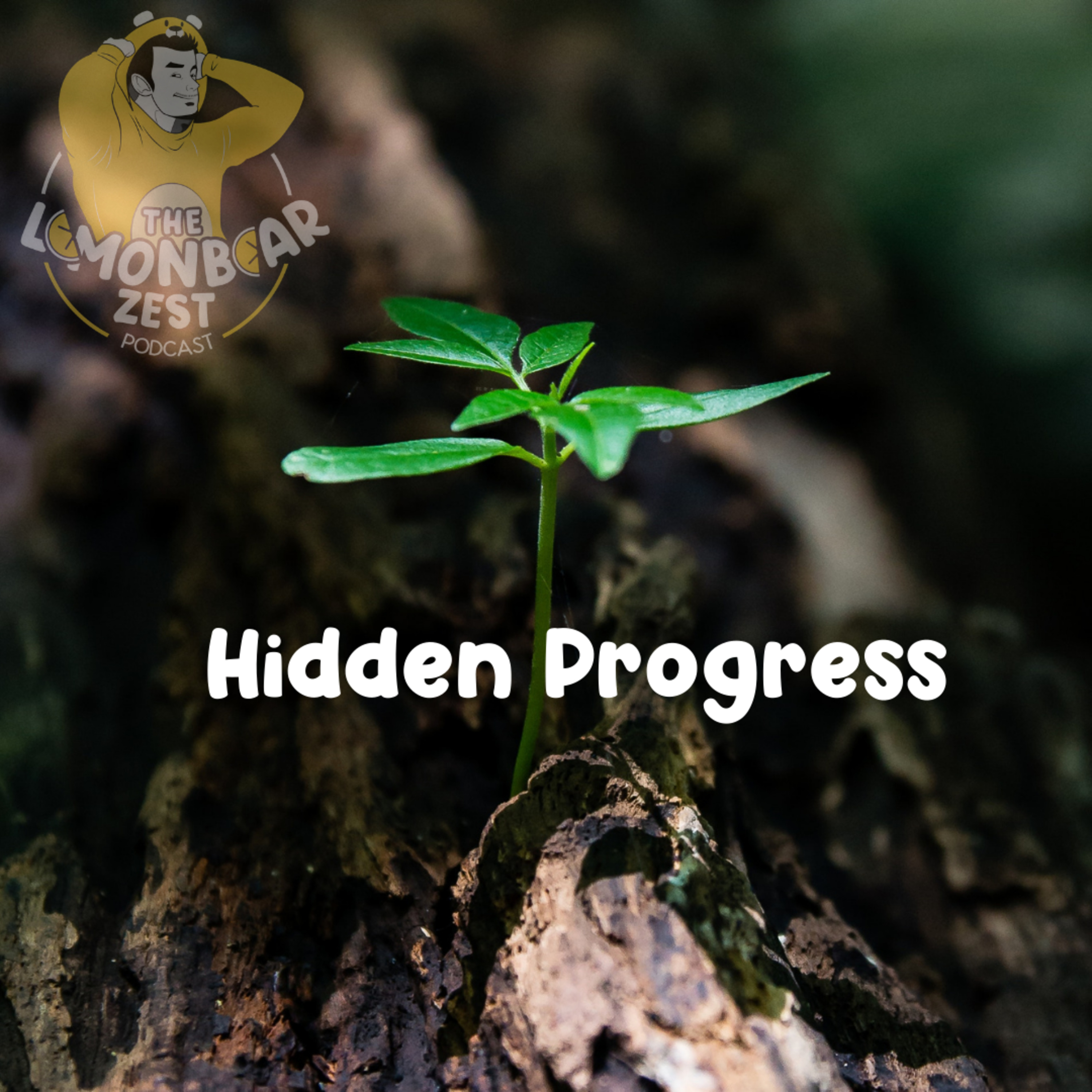 Hidden Progress episode artwork
