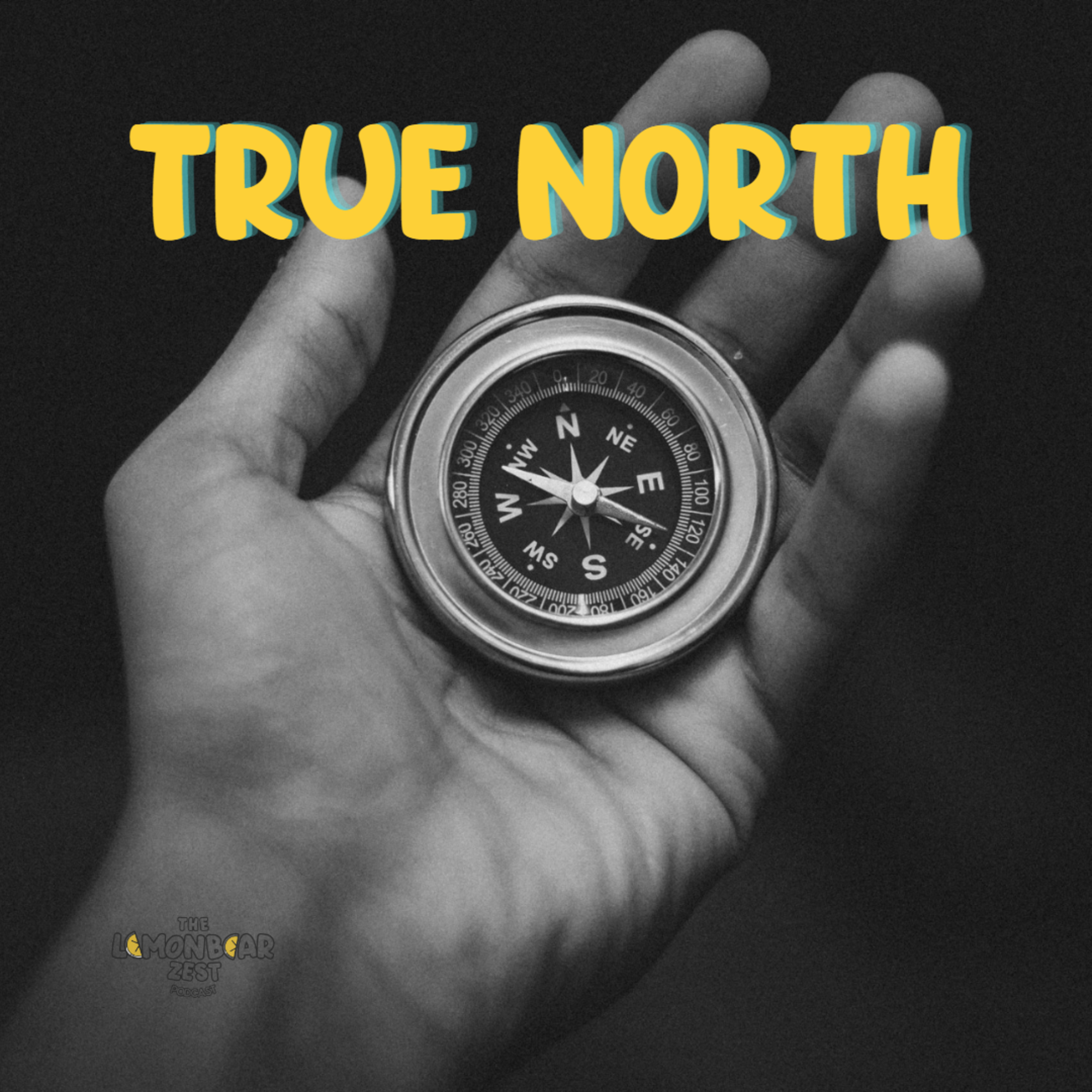 True North episode artwork
