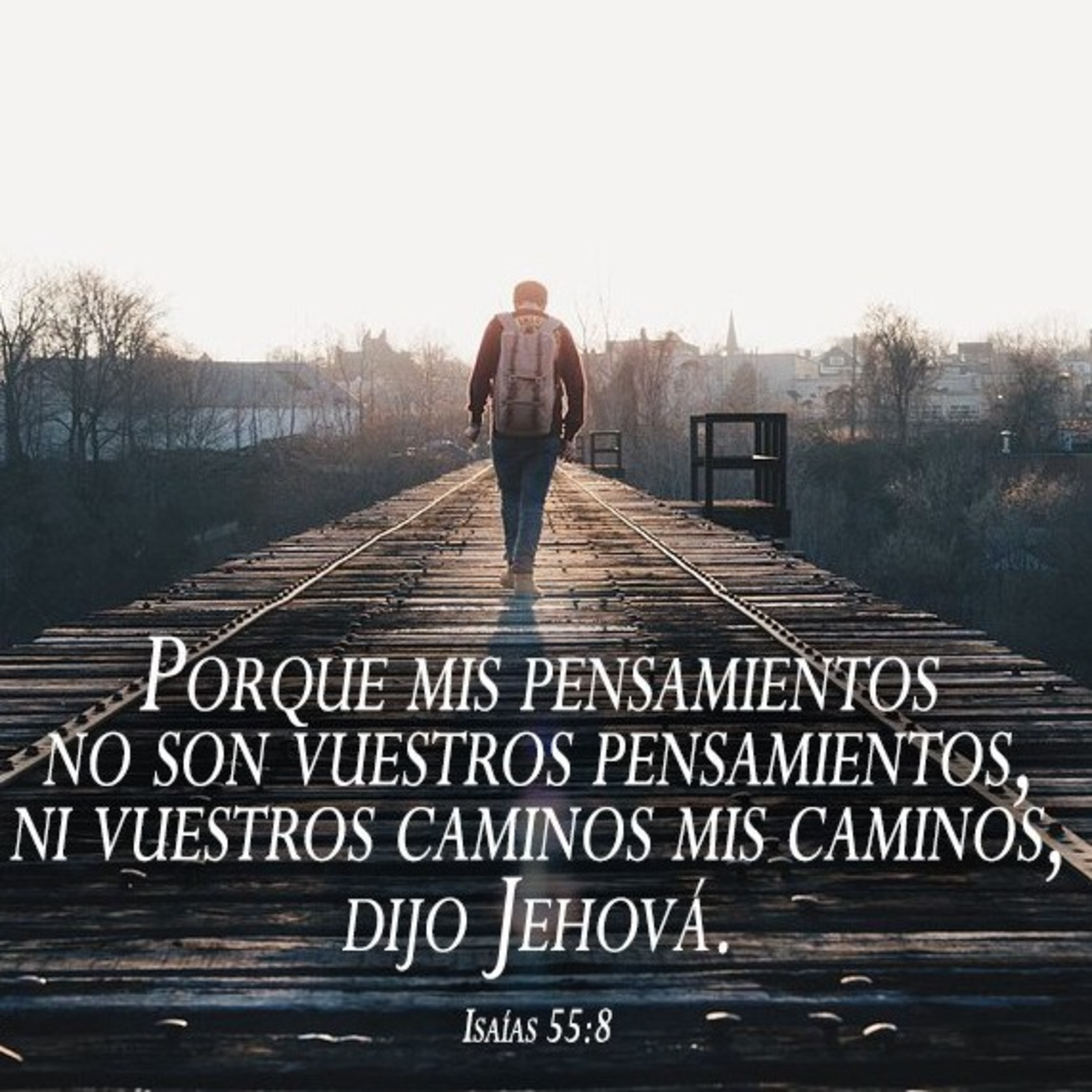 Proyecto hay vida en Jesús