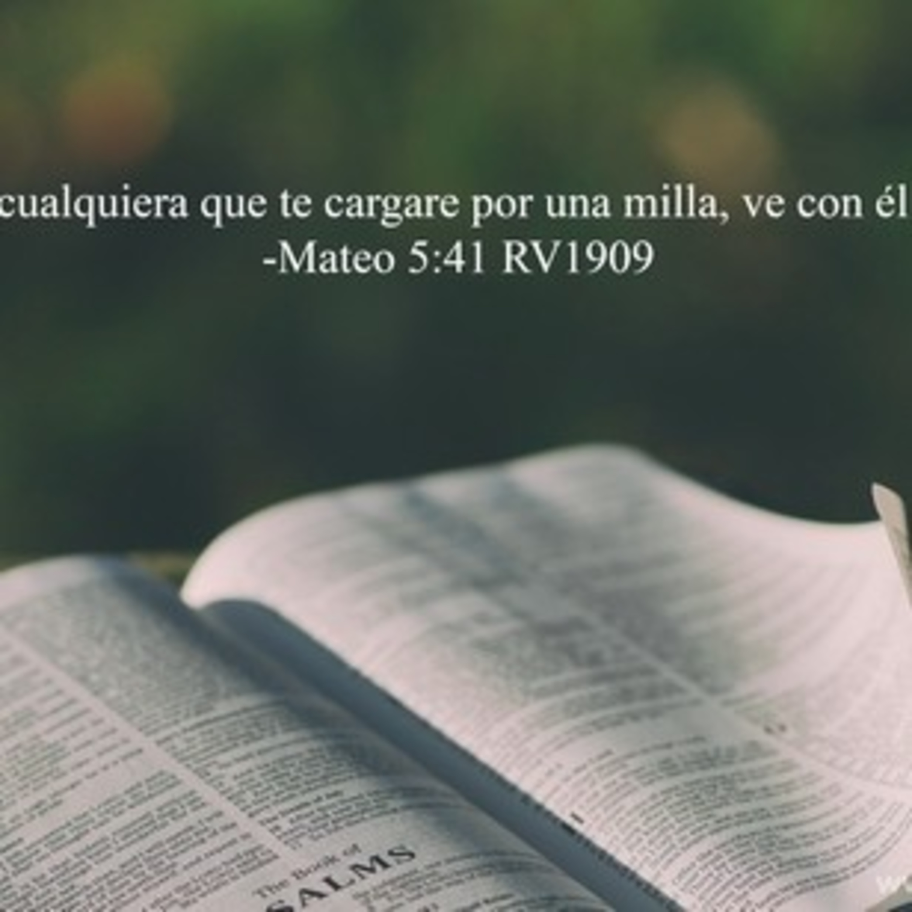 Proyecto hay vida en Jesús