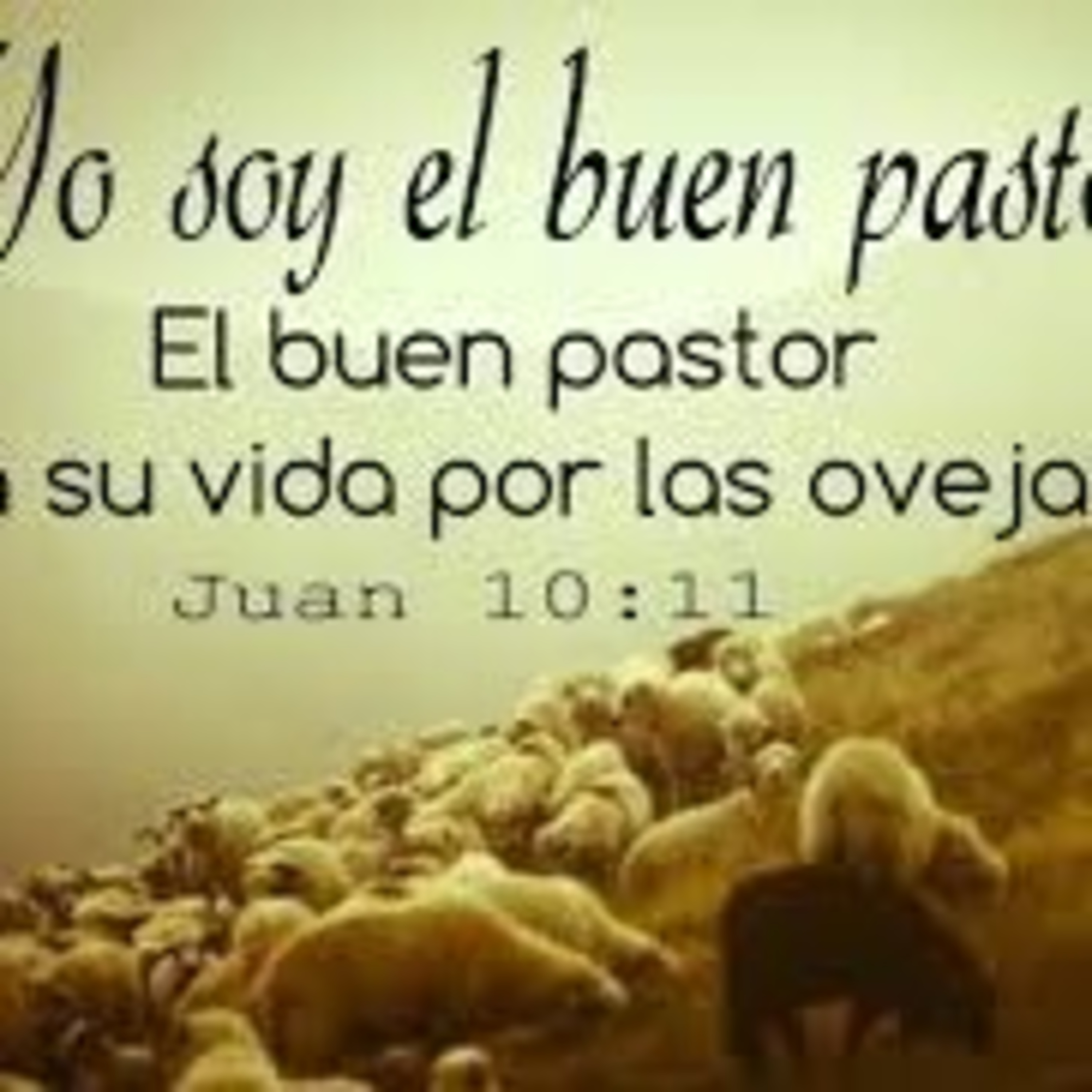 Proyecto hay vida en Jesús