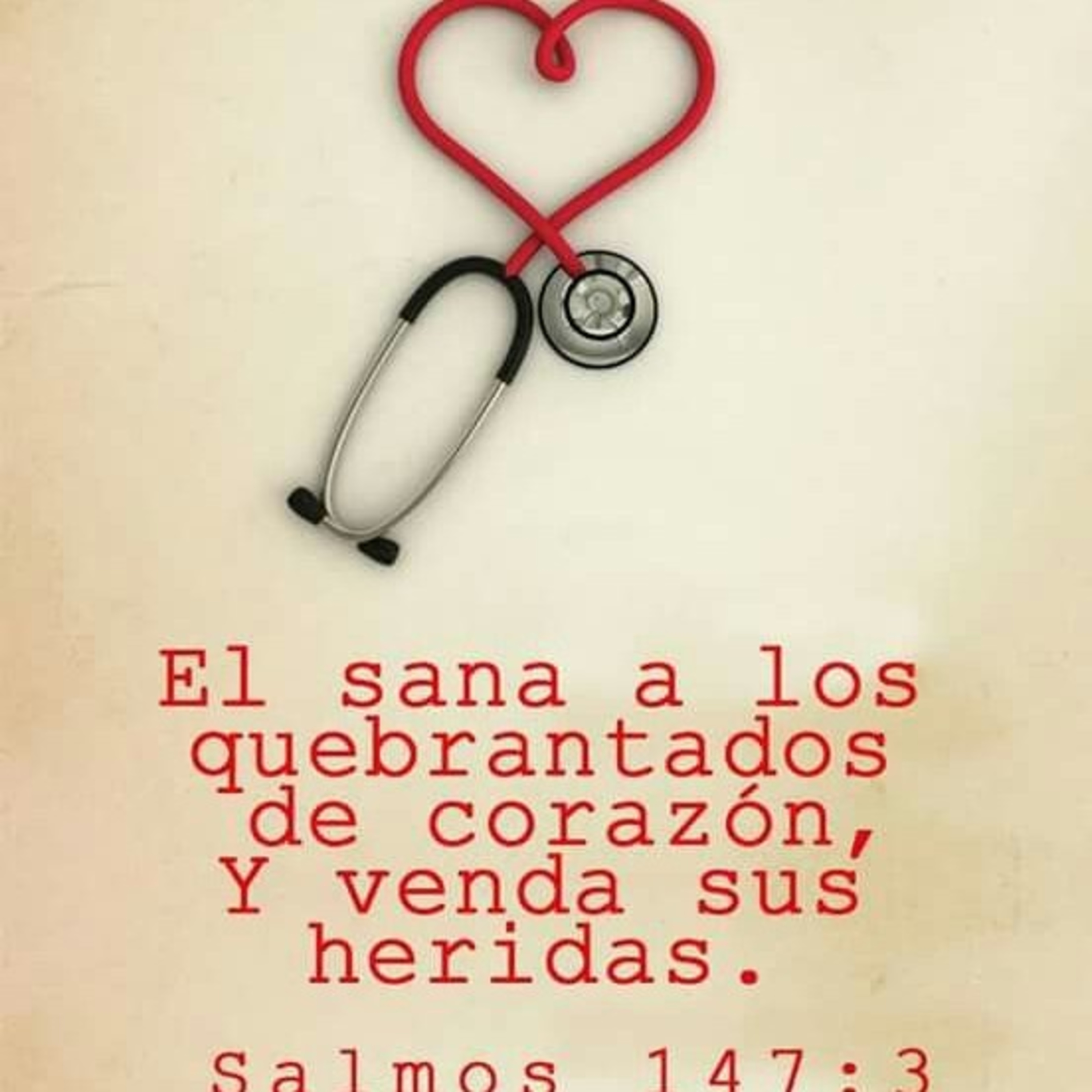 Proyecto hay vida en Jesús