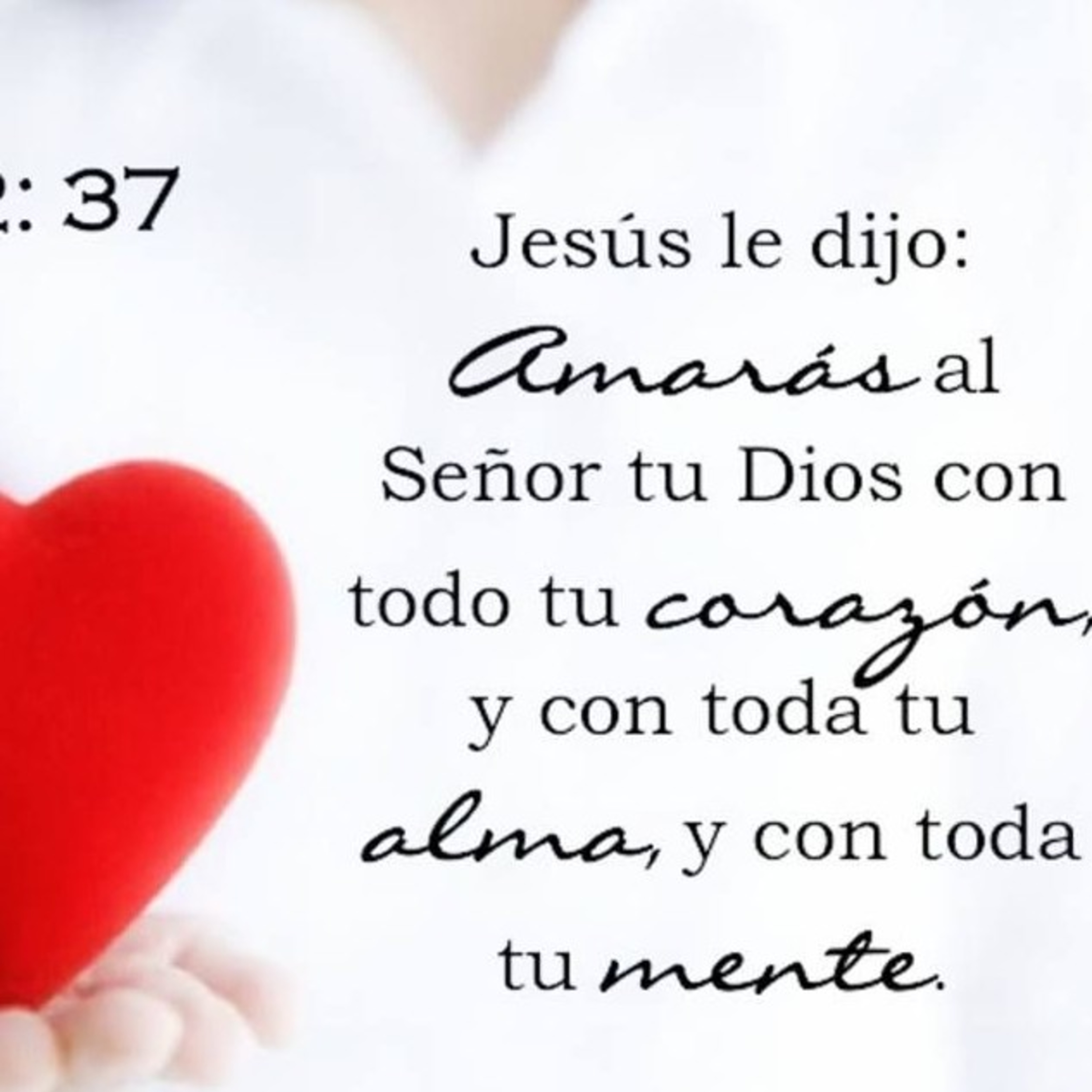 Proyecto hay vida en Jesús