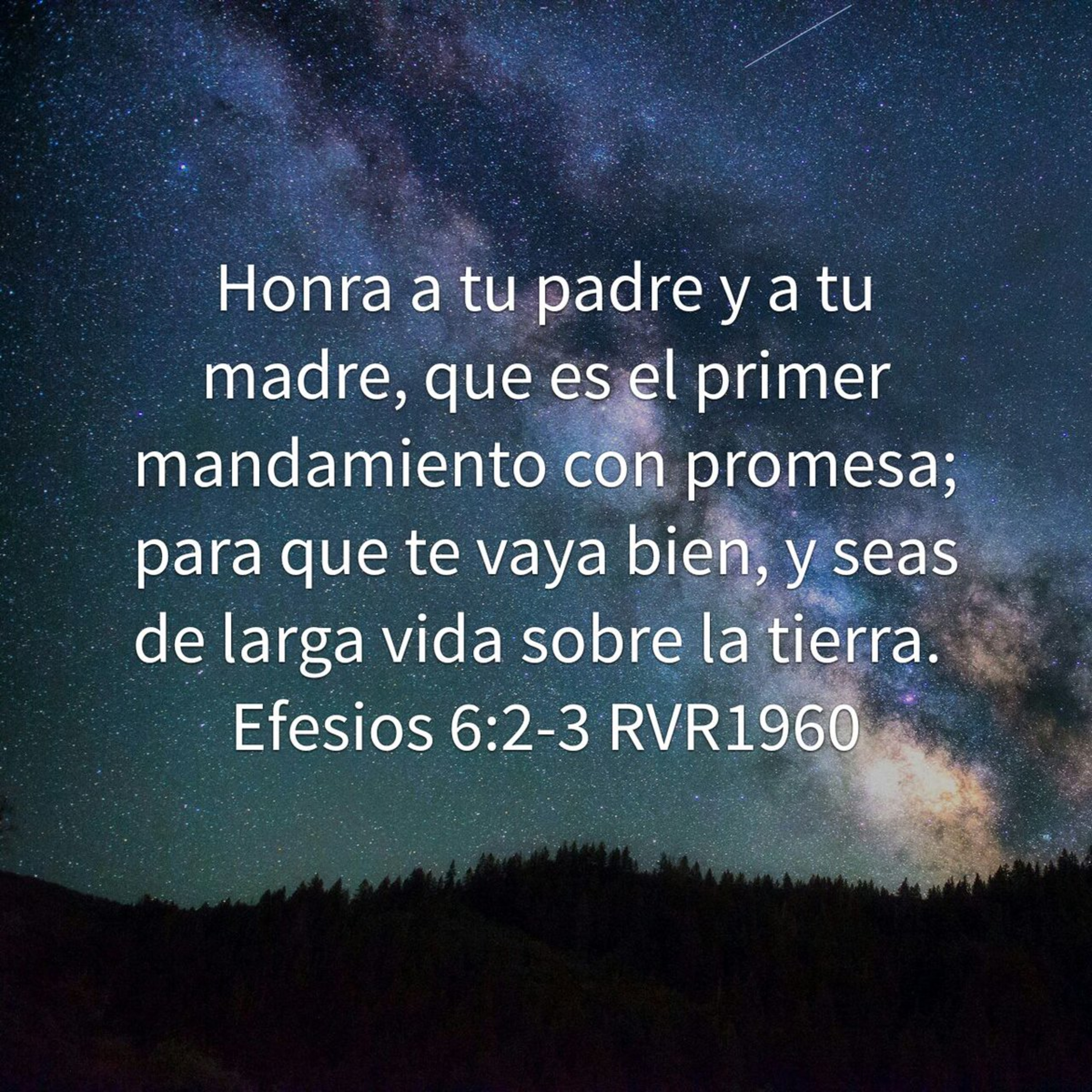 Proyecto hay vida en Jesús