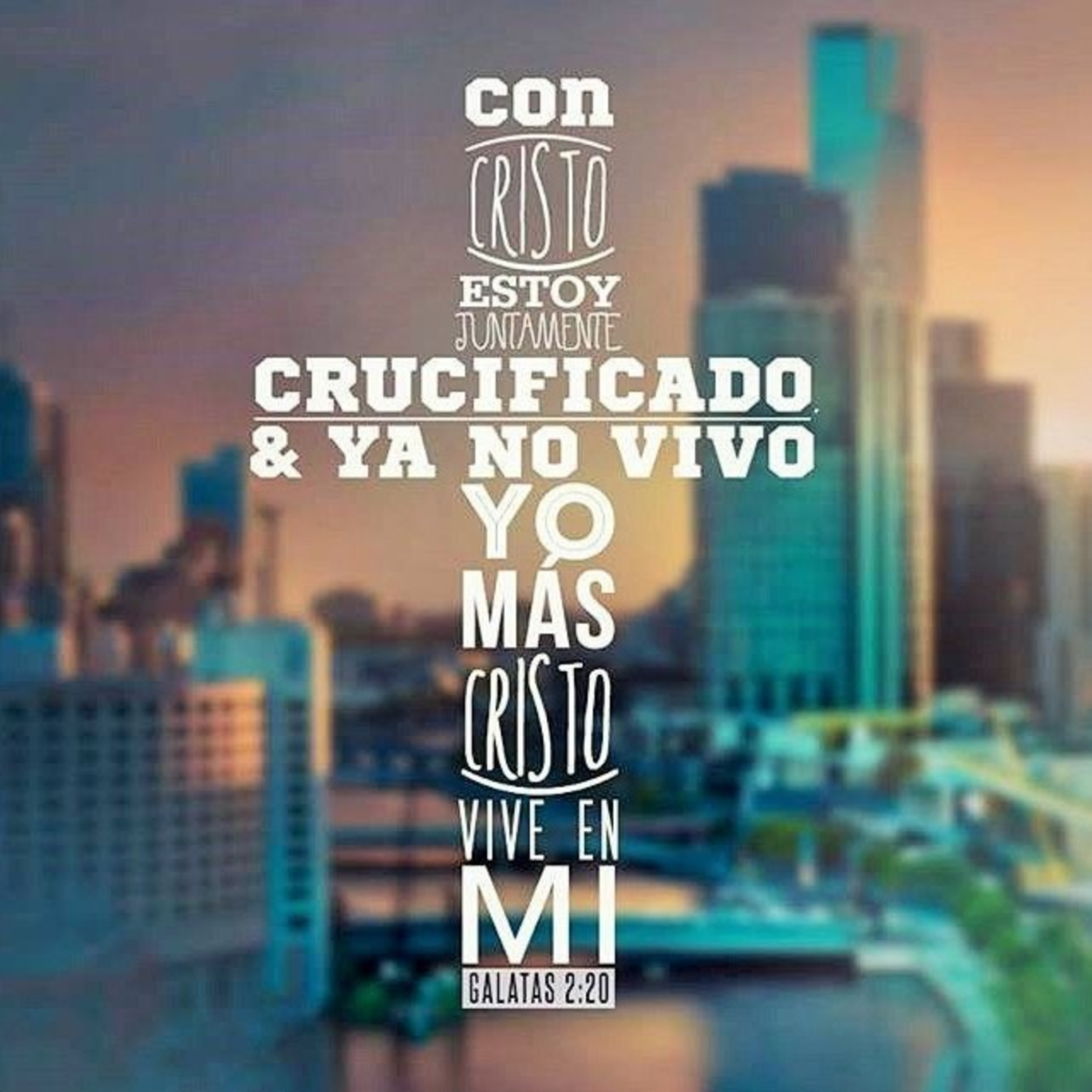 Proyecto hay vida en Jesús