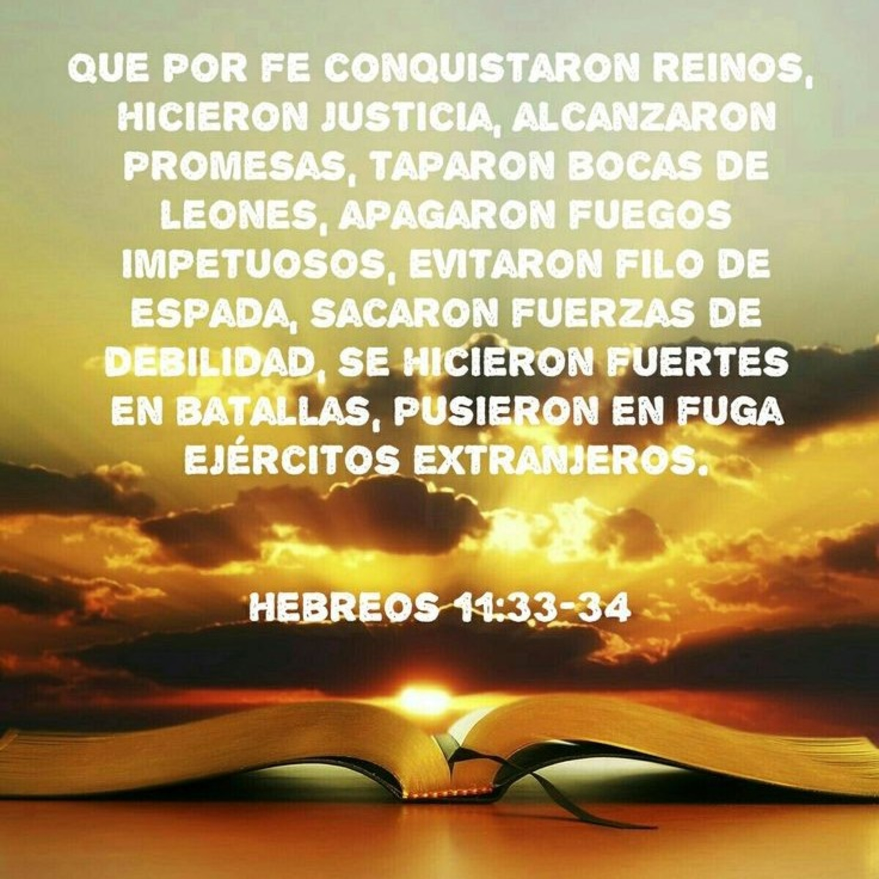 Proyecto hay vida en Jesús