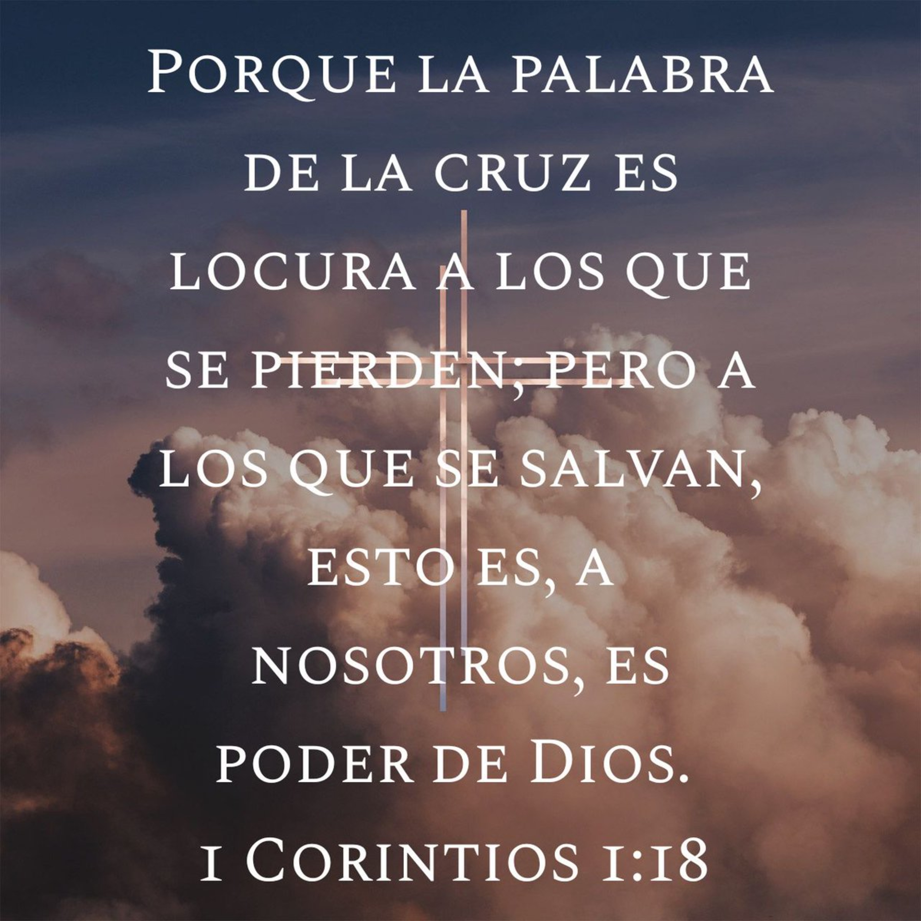 Proyecto hay vida en Jesús