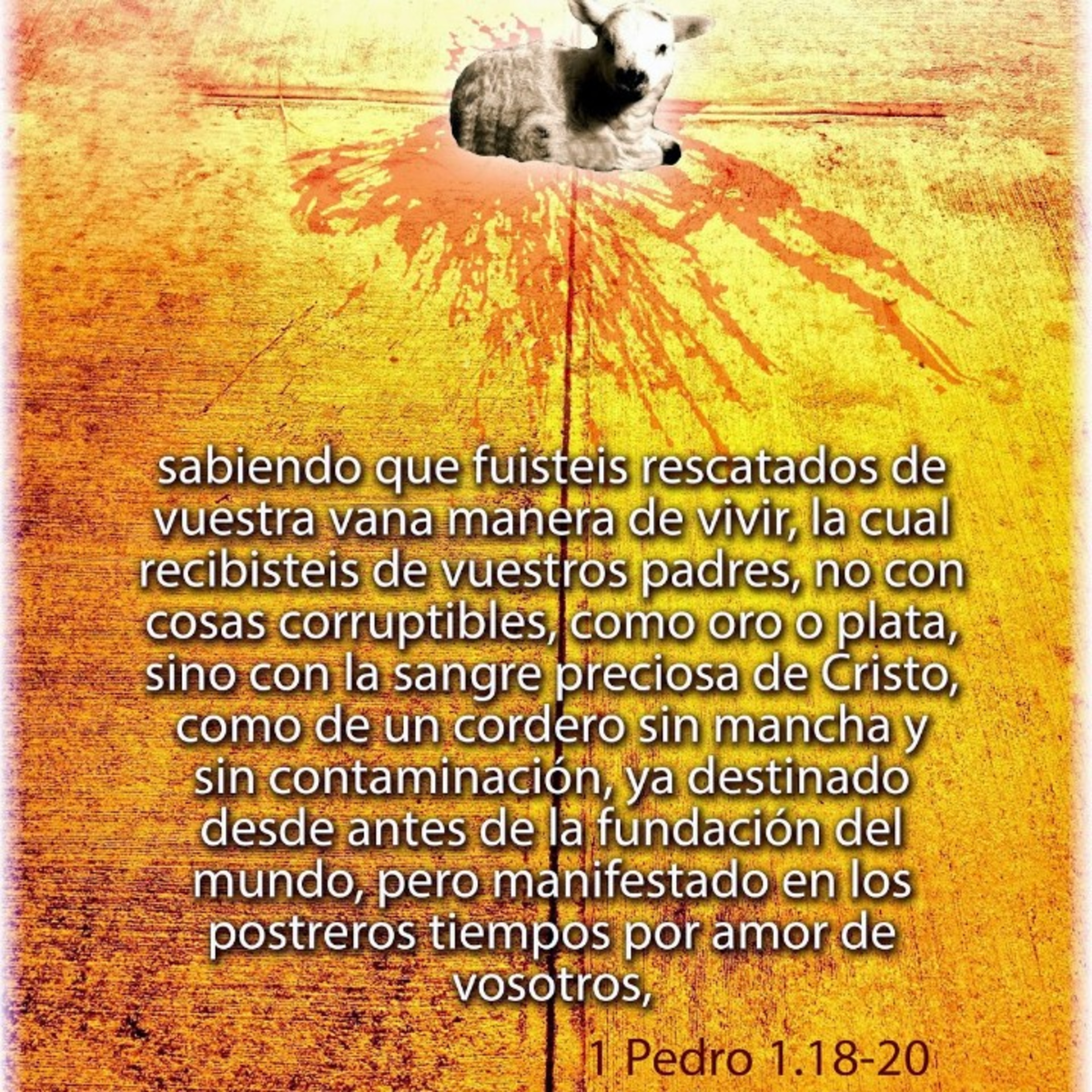 Proyecto hay vida en Jesús