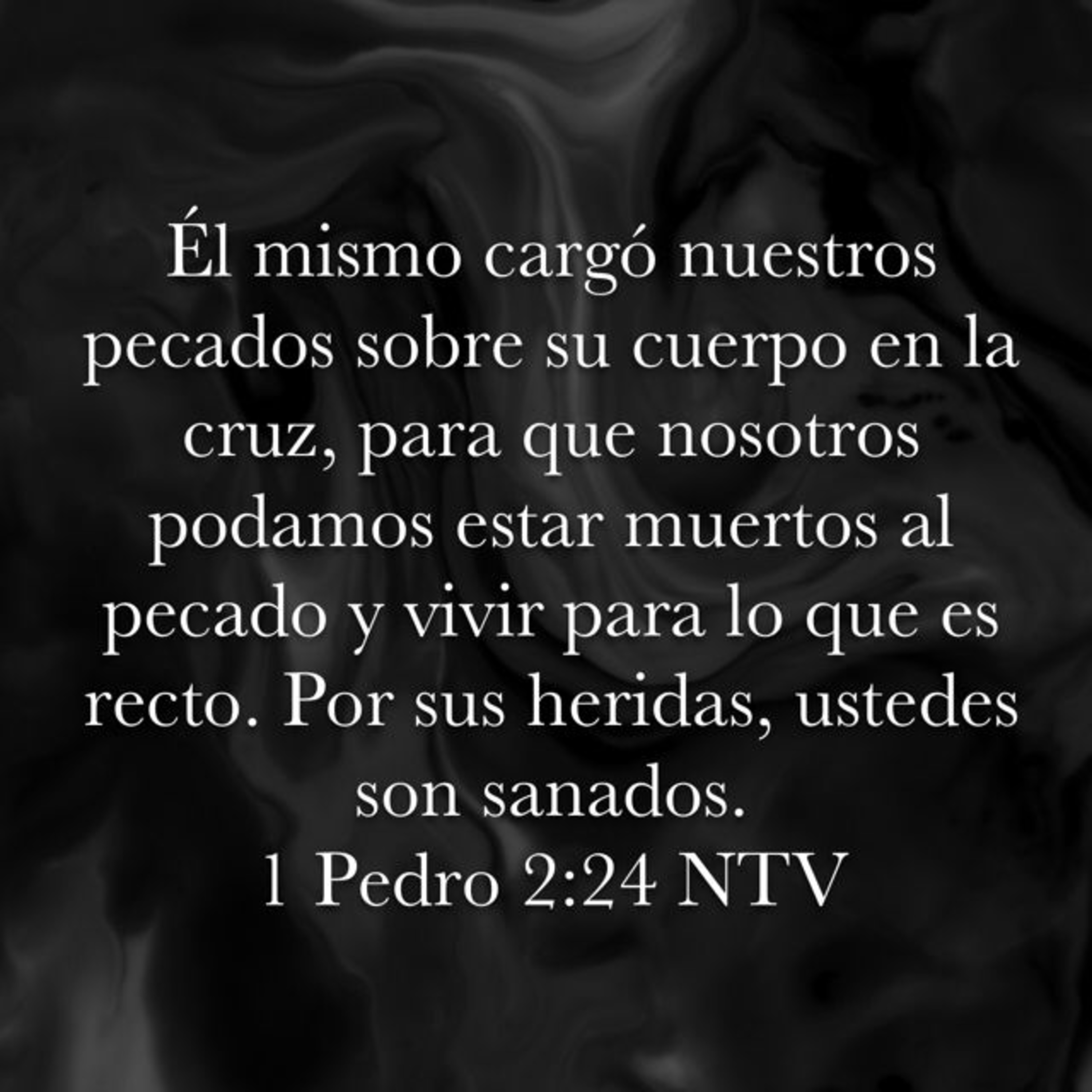Proyecto hay vida en Jesús