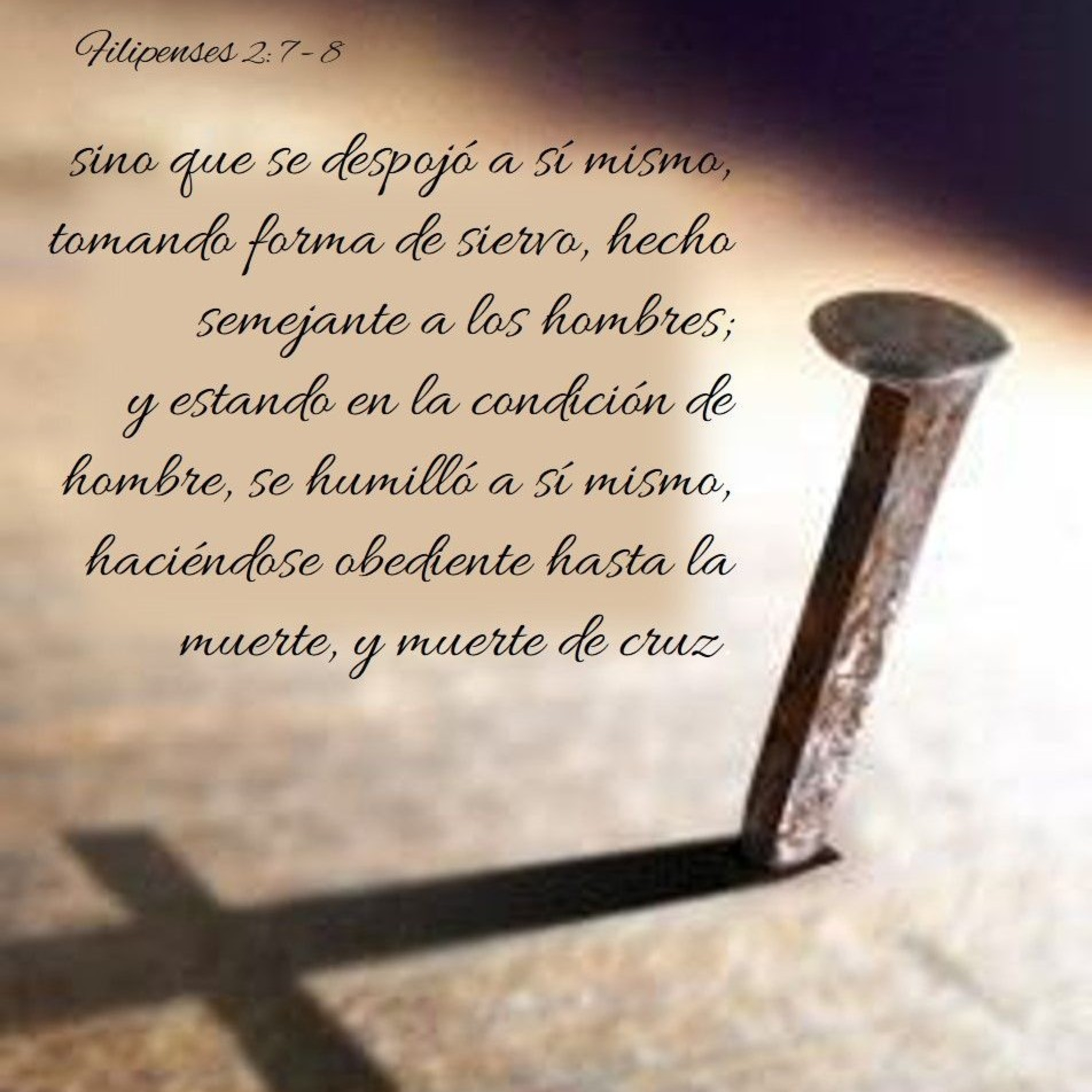 Proyecto hay vida en Jesús