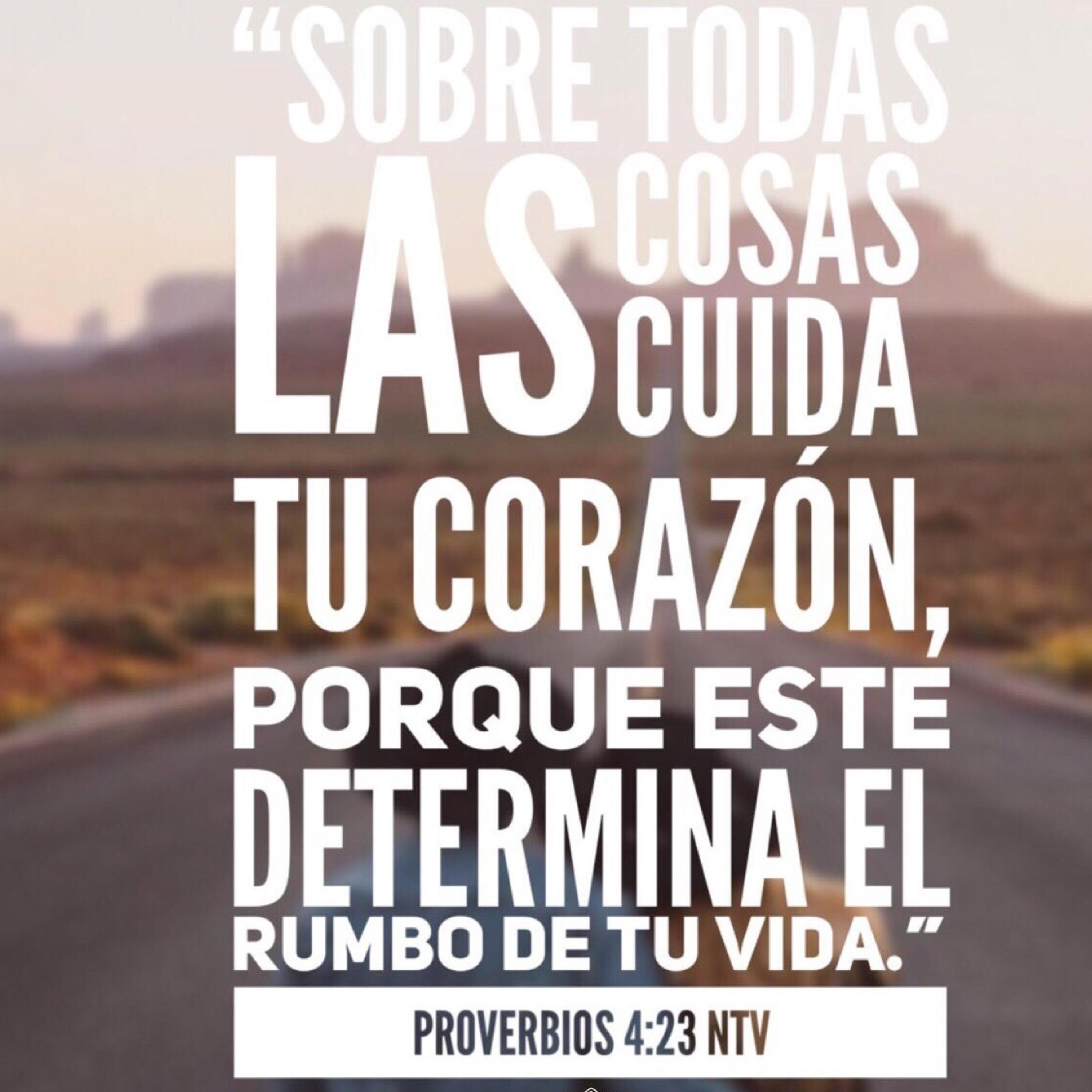 Proyecto hay vida en Jesús