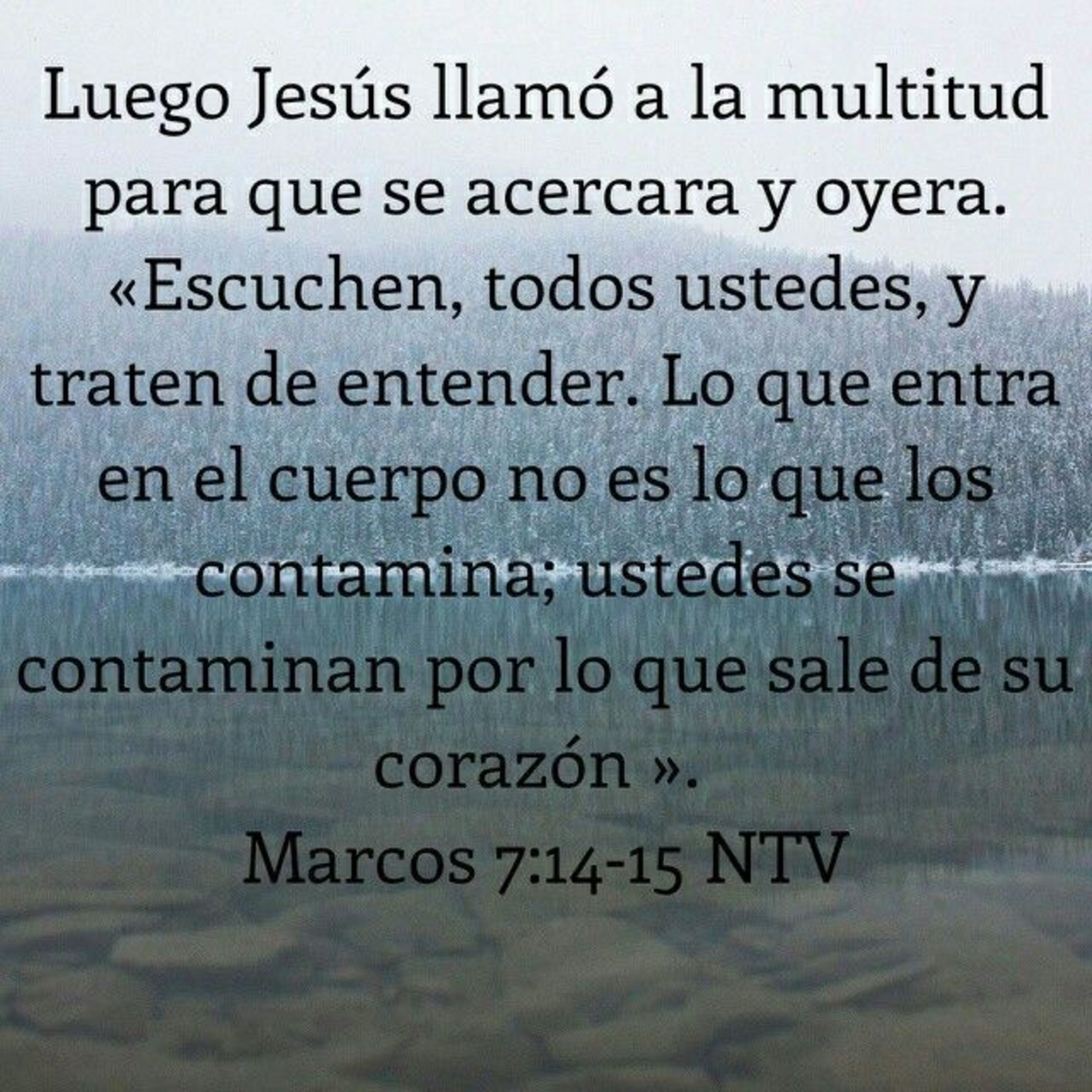 Proyecto hay vida en Jesús