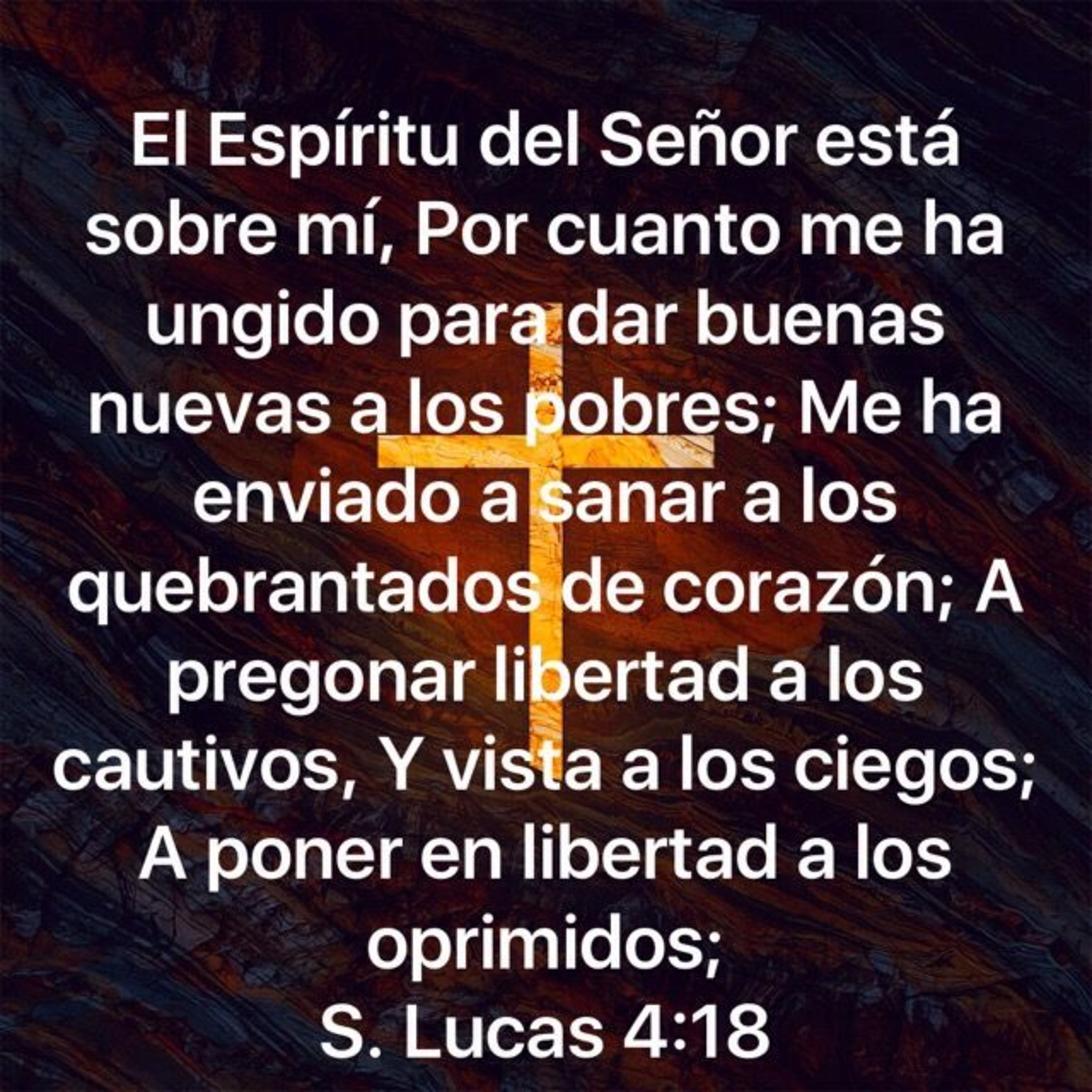 Proyecto hay vida en Jesús