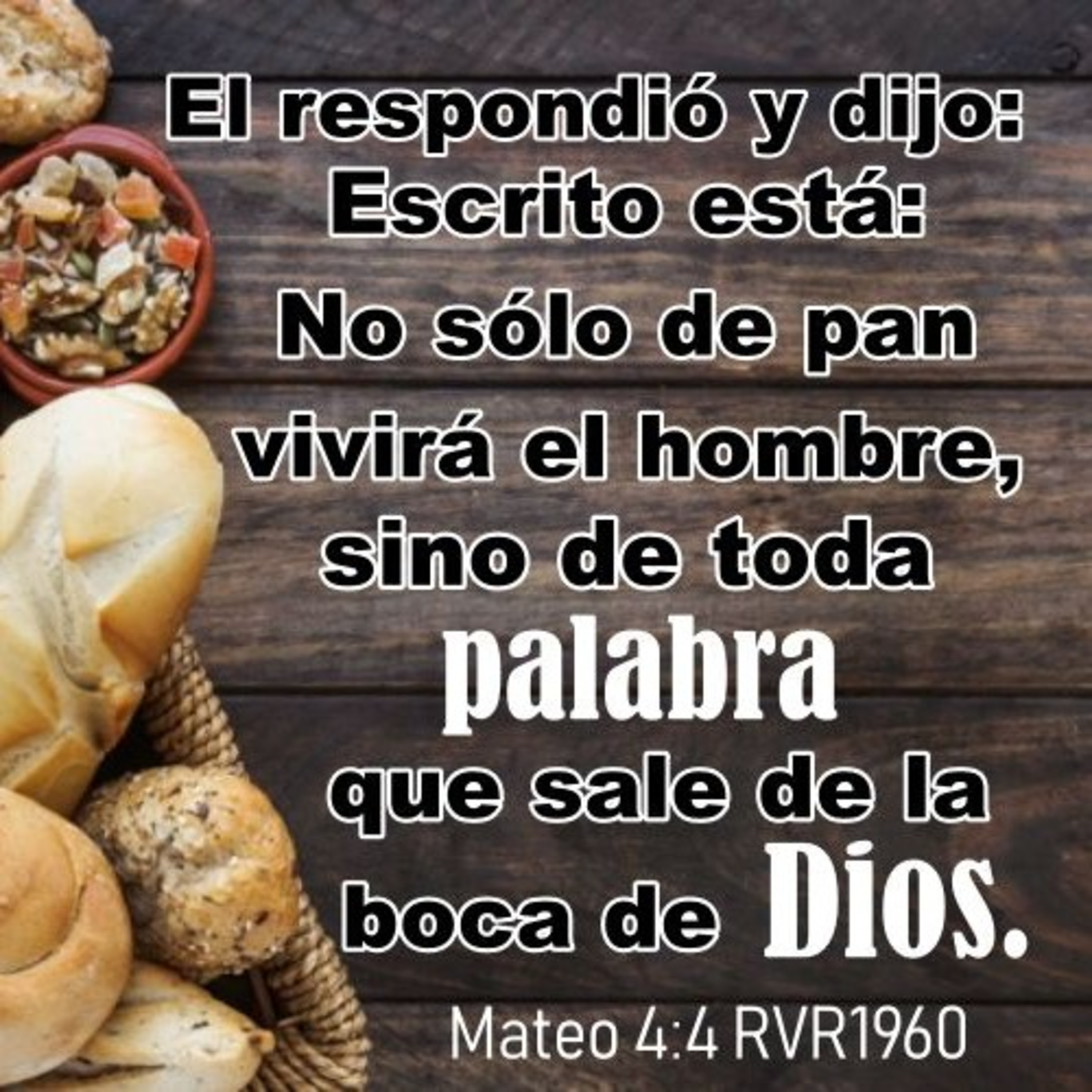 Proyecto hay vida en Jesús