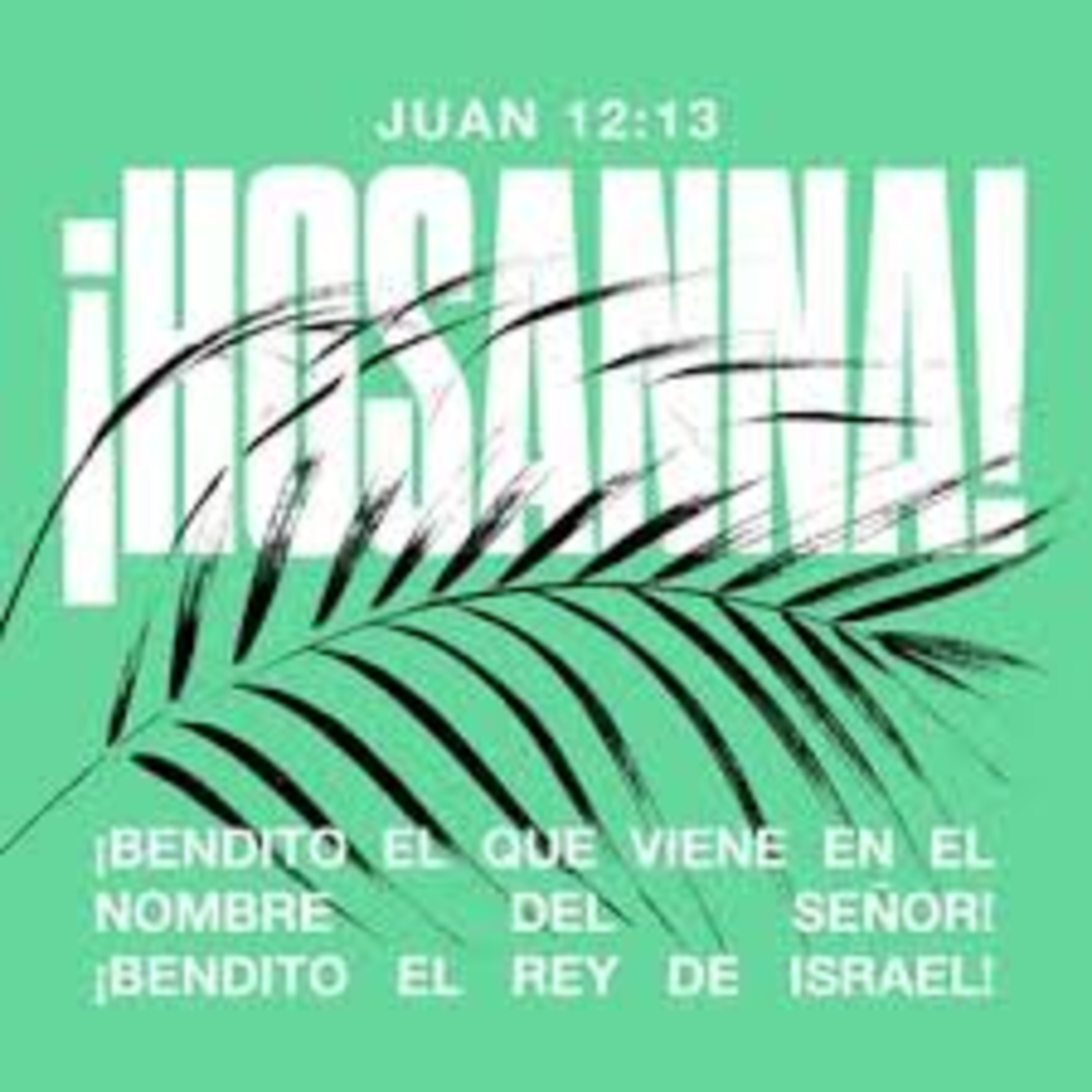 Proyecto hay vida en Jesús