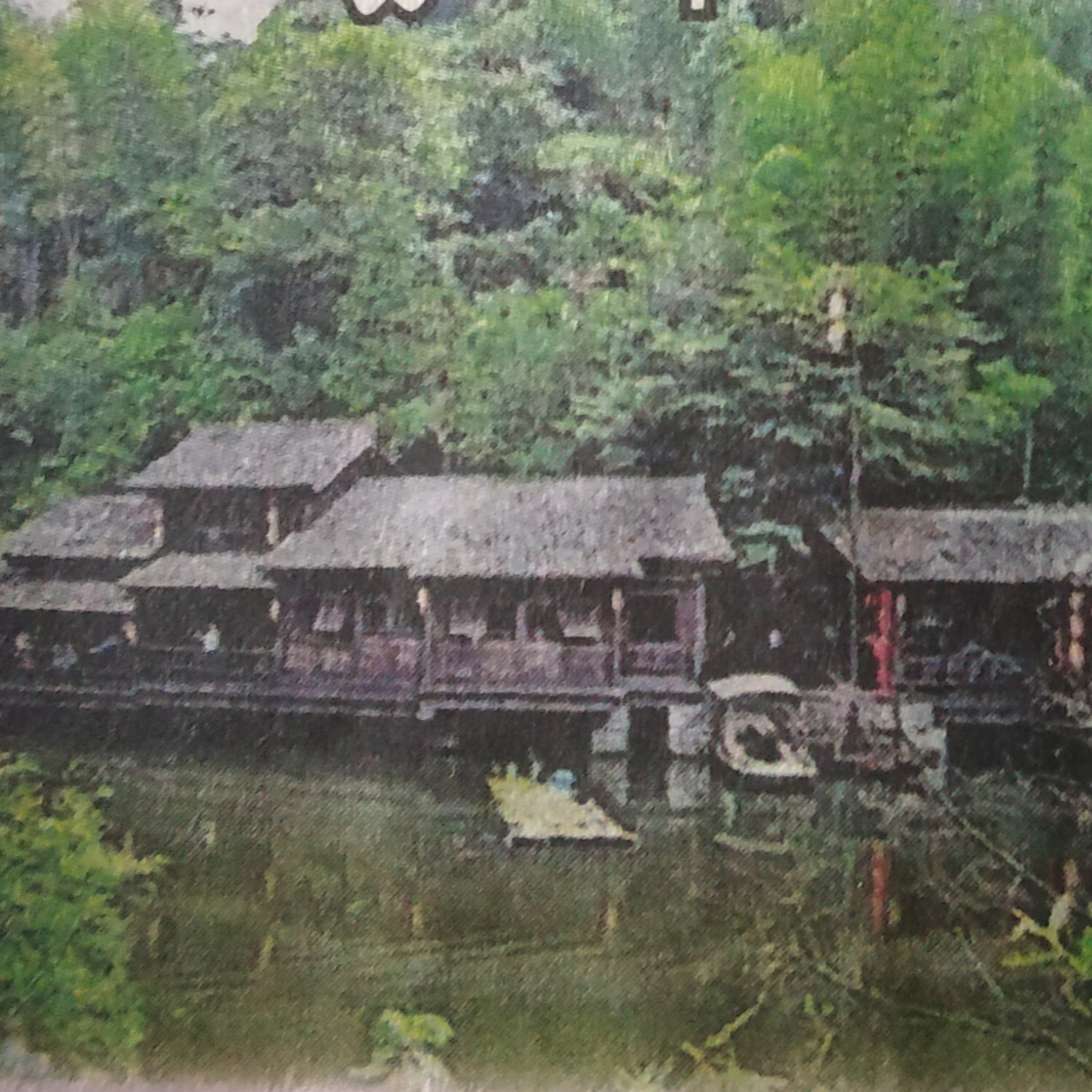 Mosquito free village  episode artwork