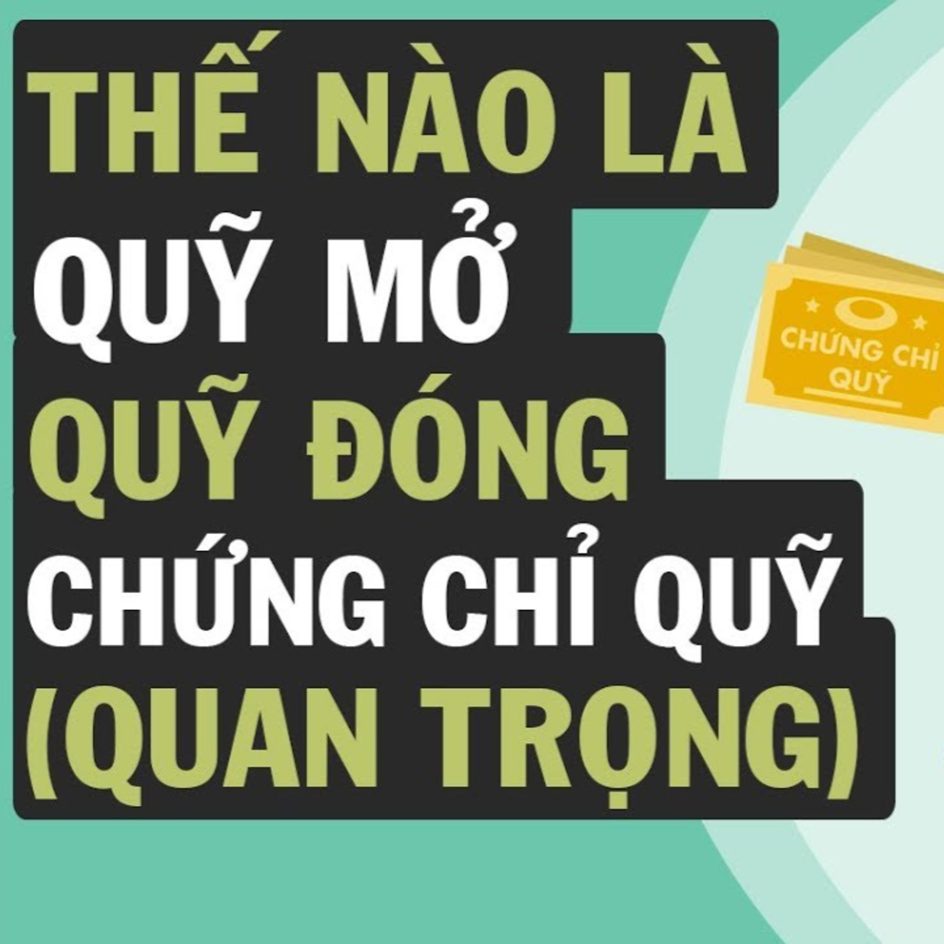 Cú Thông Thái