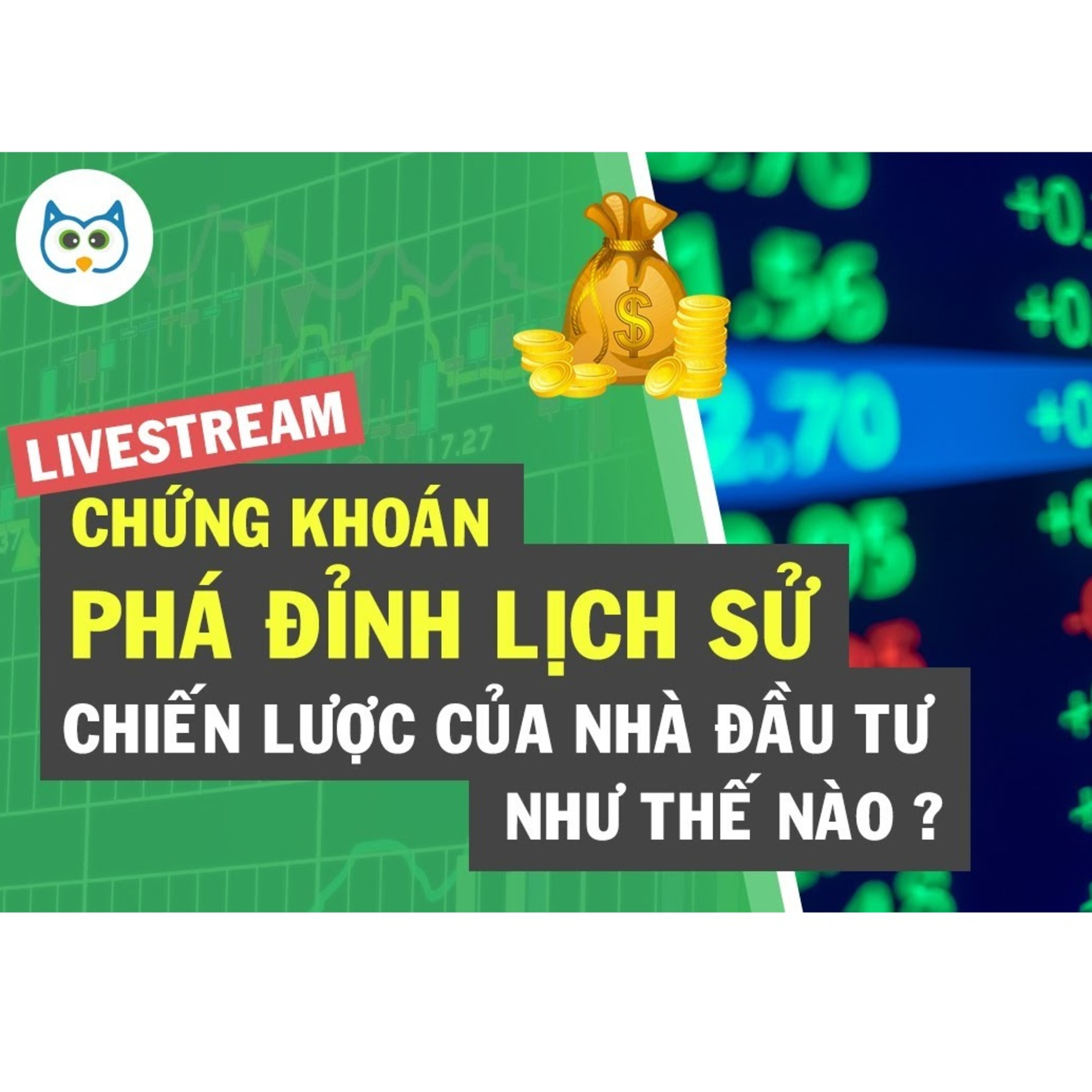 Cú Thông Thái