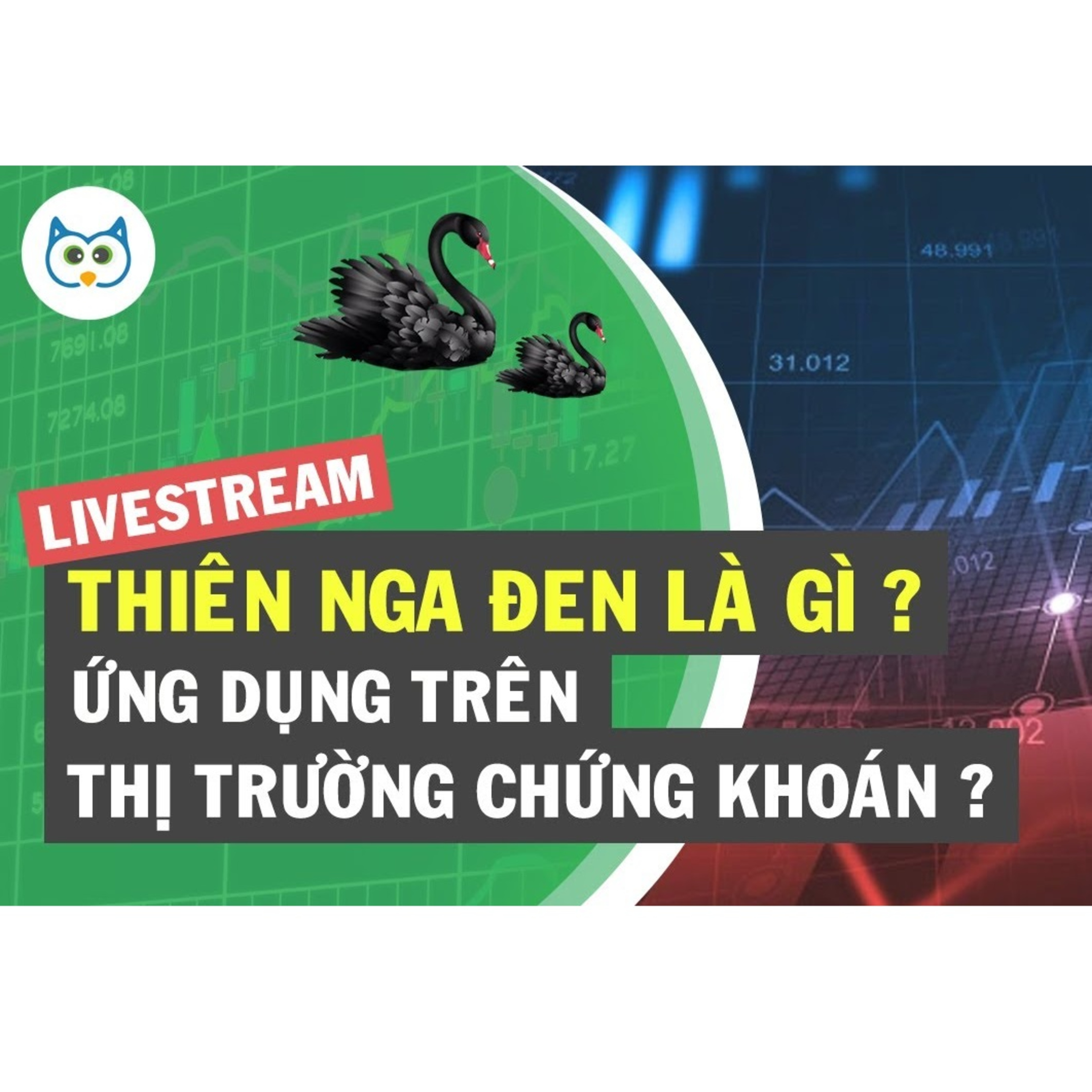 Cú Thông Thái