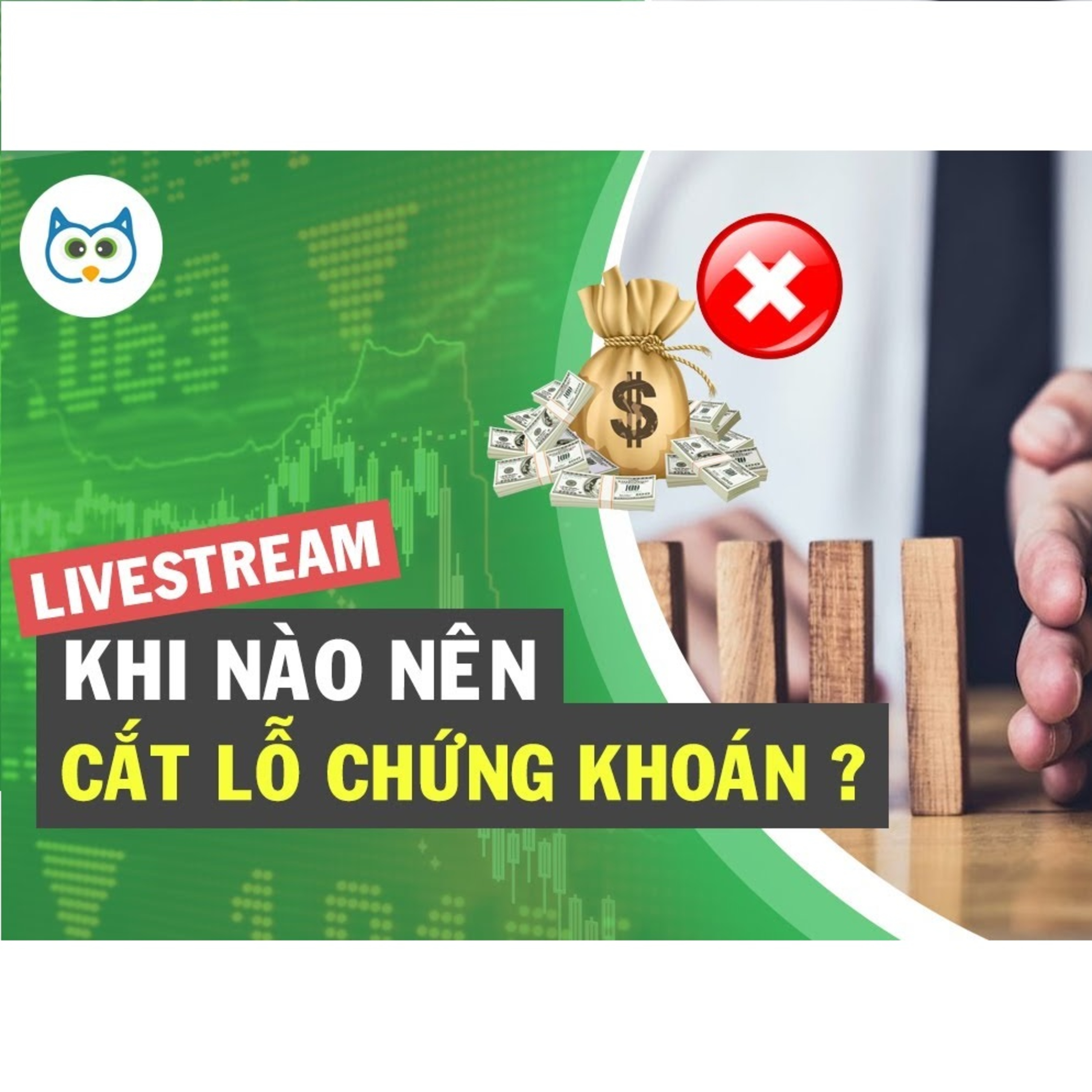 Cú Thông Thái