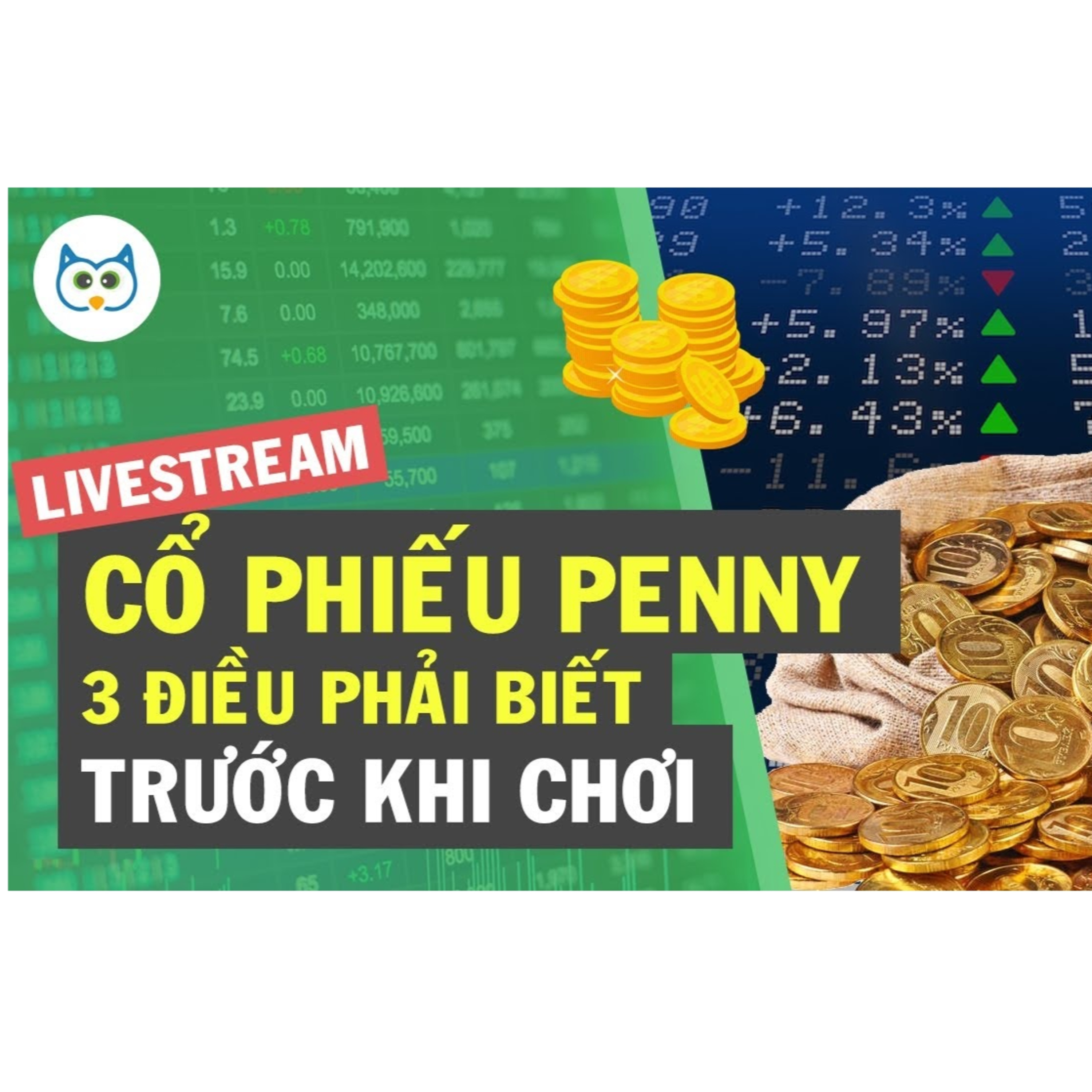 Cú Thông Thái