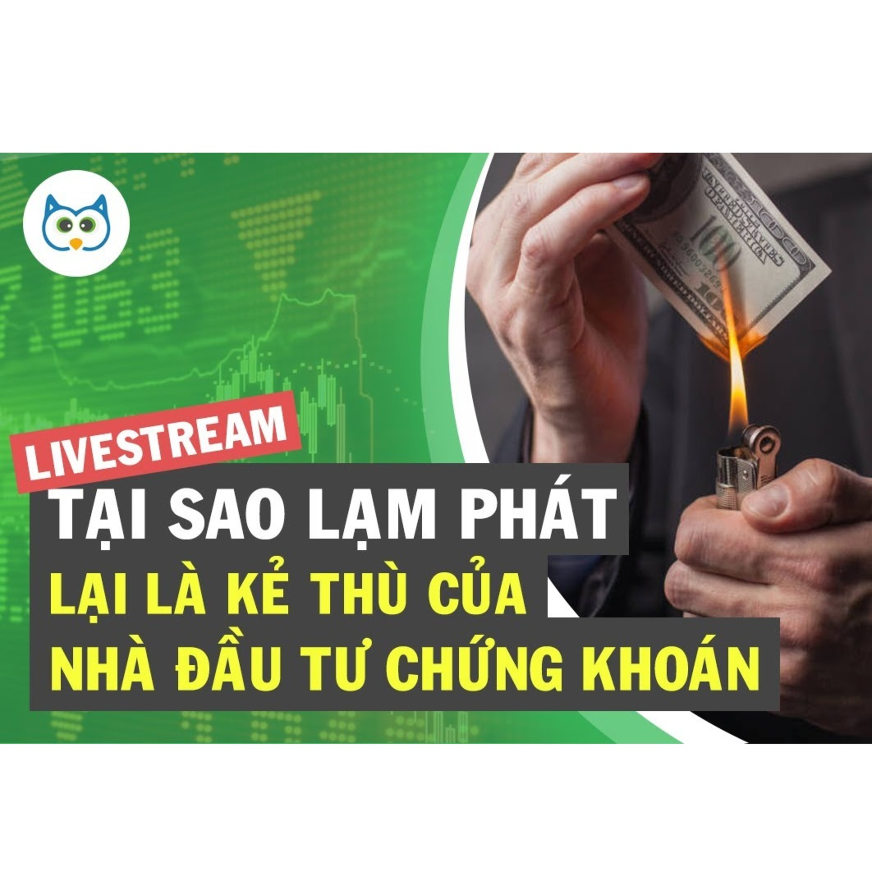 Cú Thông Thái