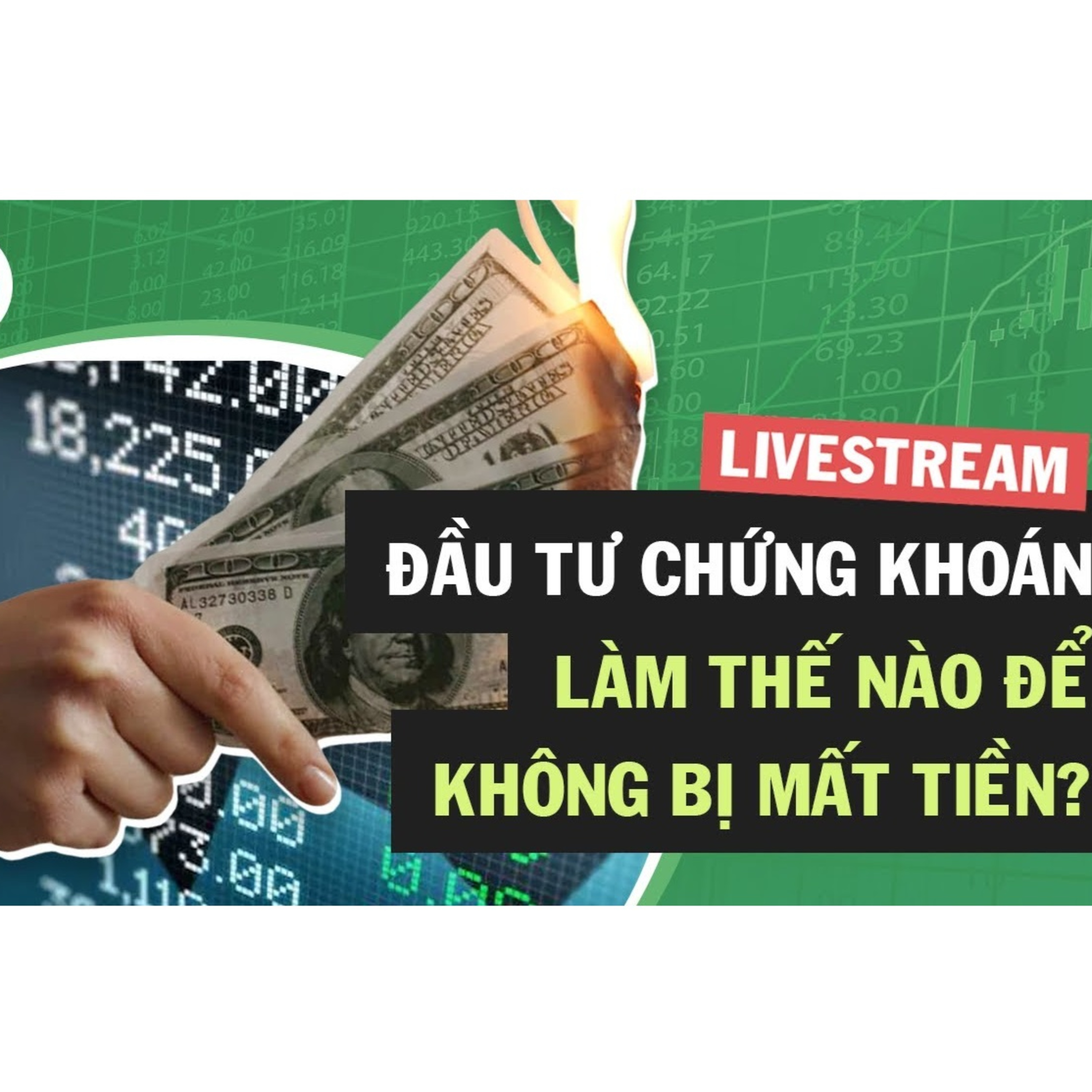 Cú Thông Thái