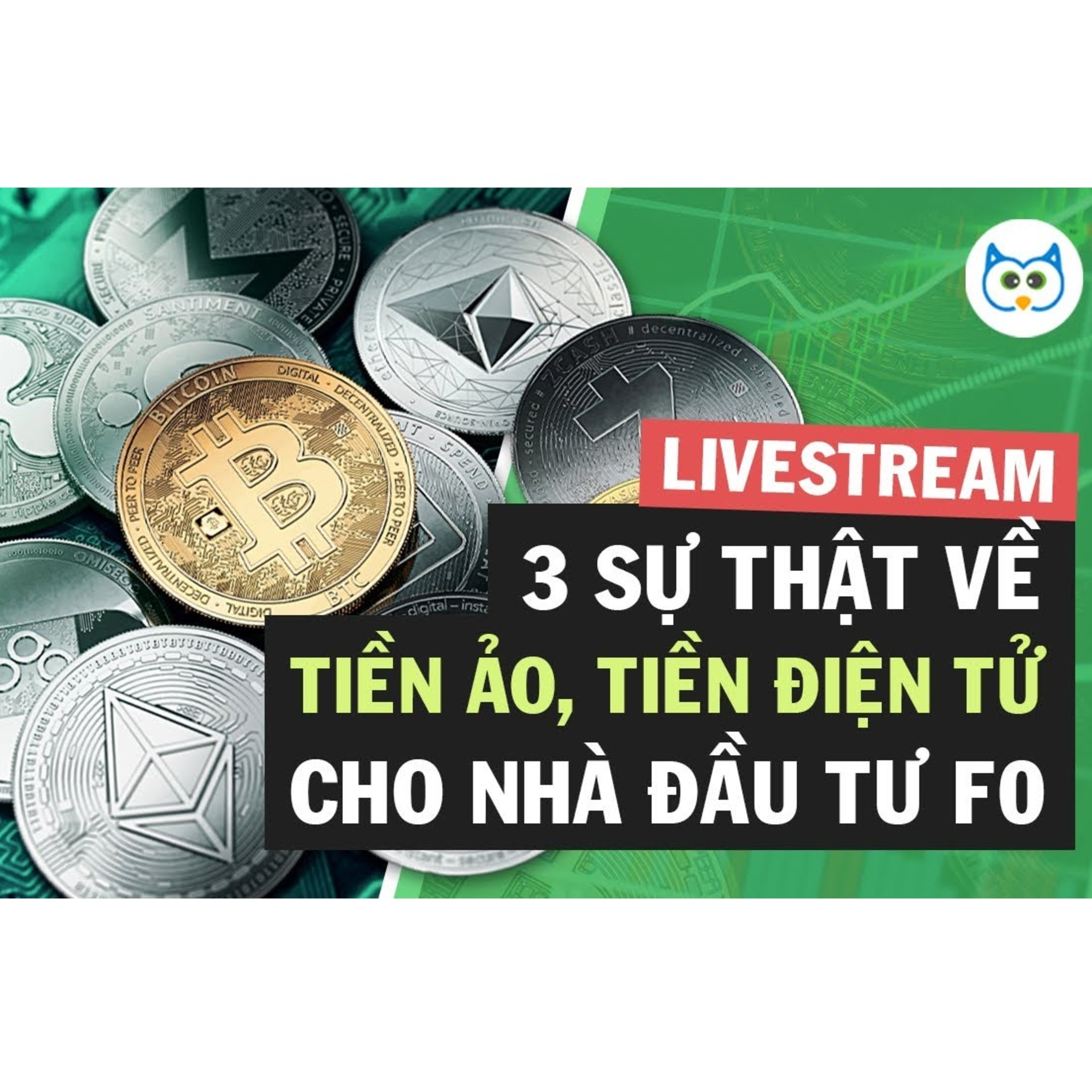 Cú Thông Thái