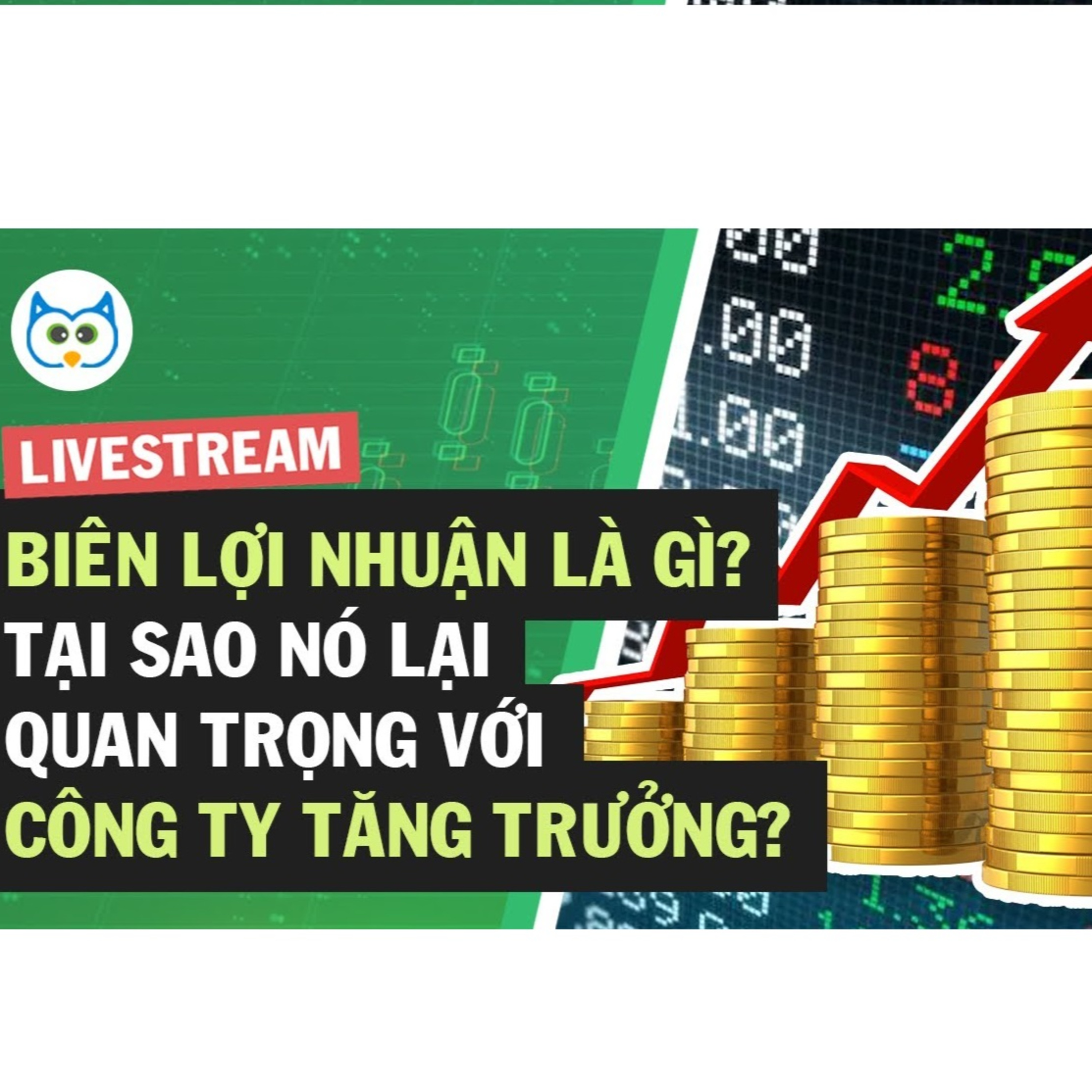 Cú Thông Thái