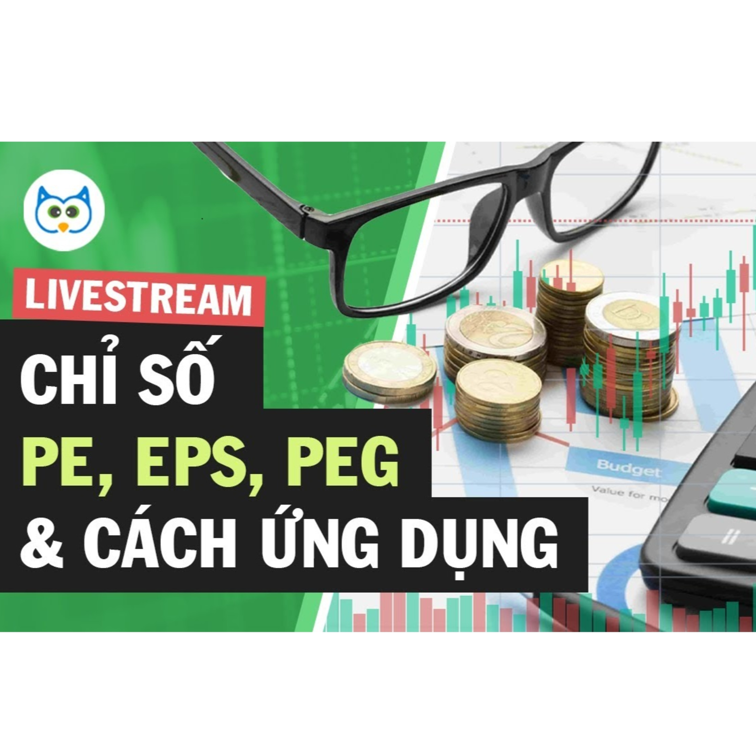 Cú Thông Thái