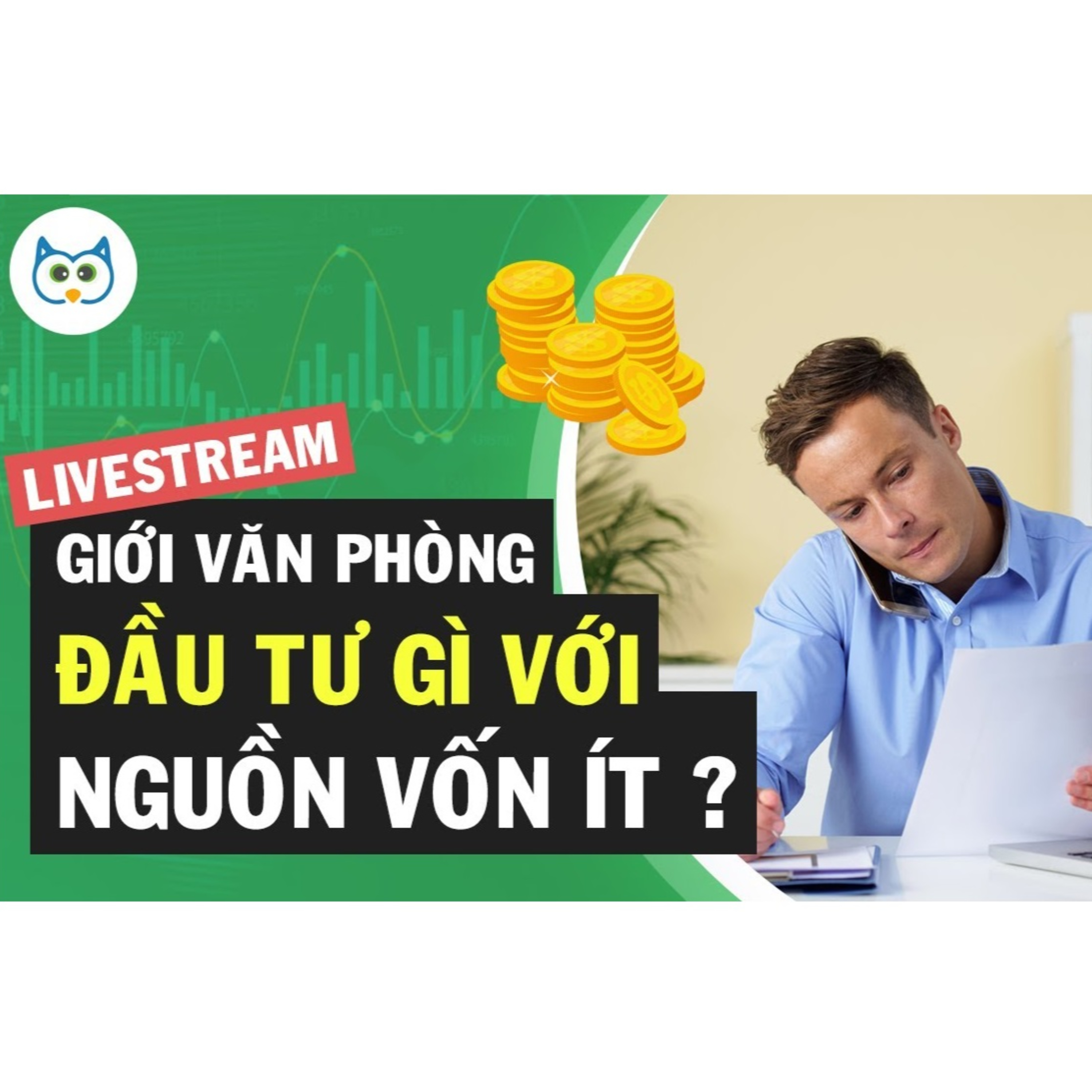 Cú Thông Thái