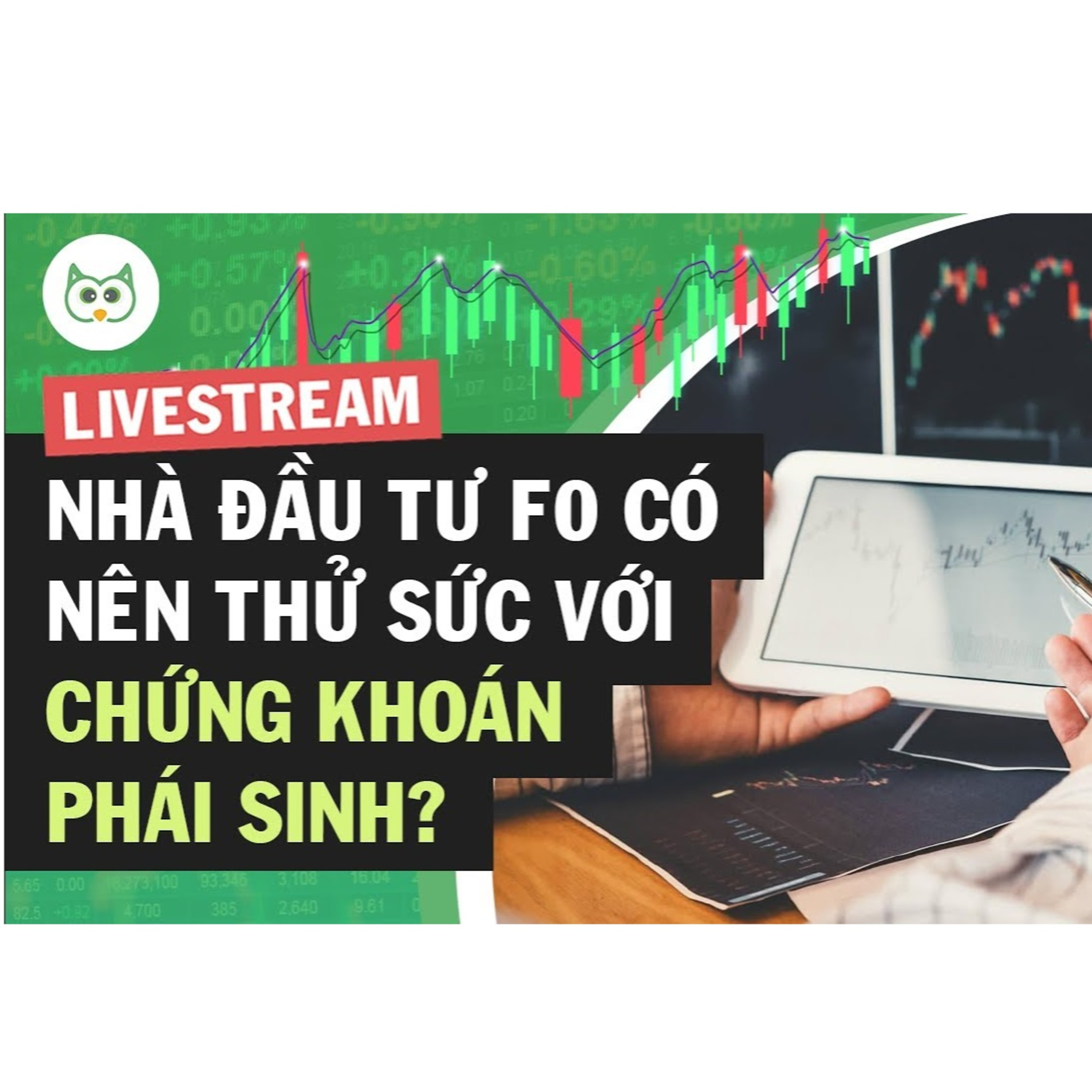 Cú Thông Thái